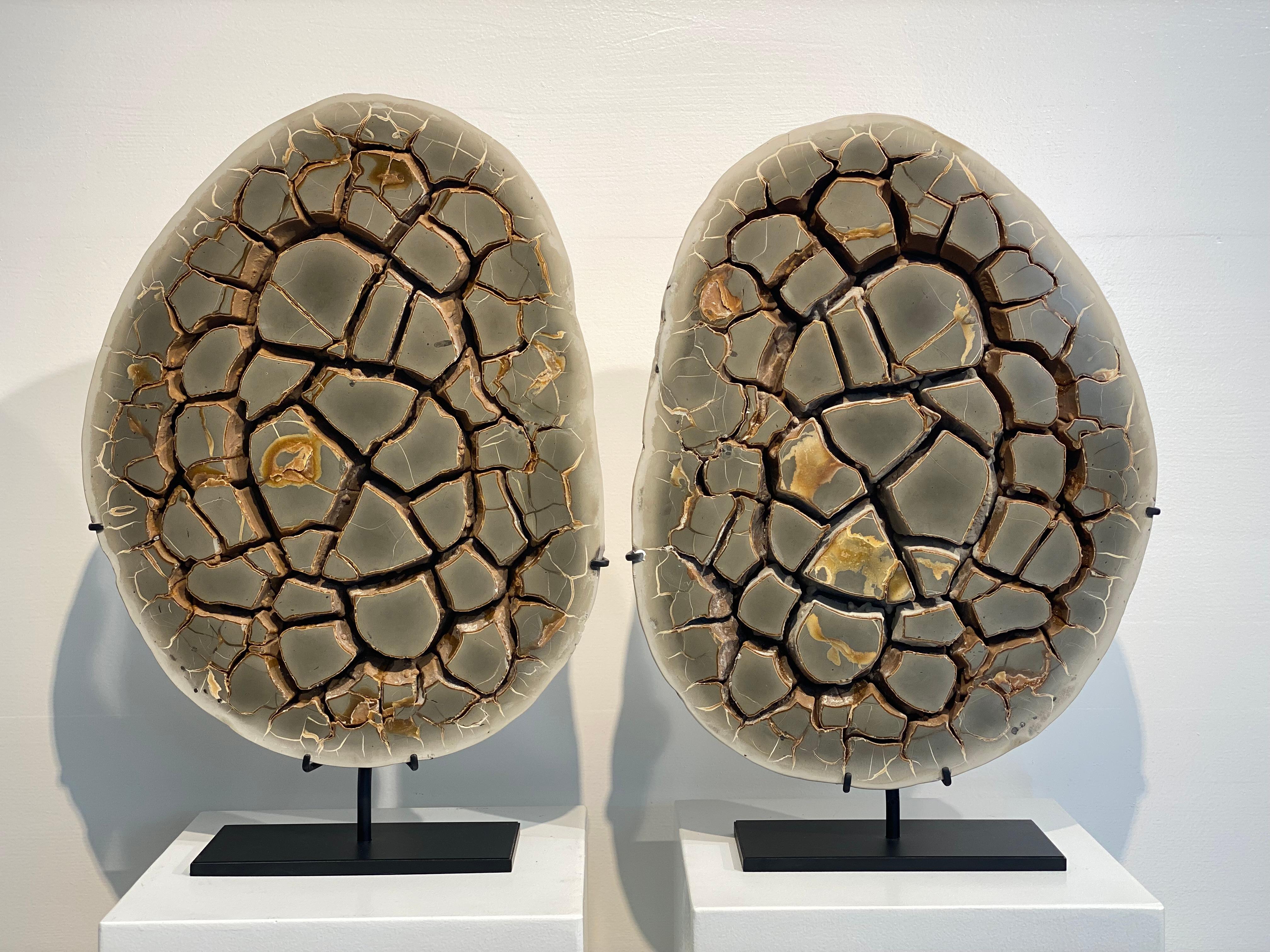 Cut Septarian Nodule on stand 3