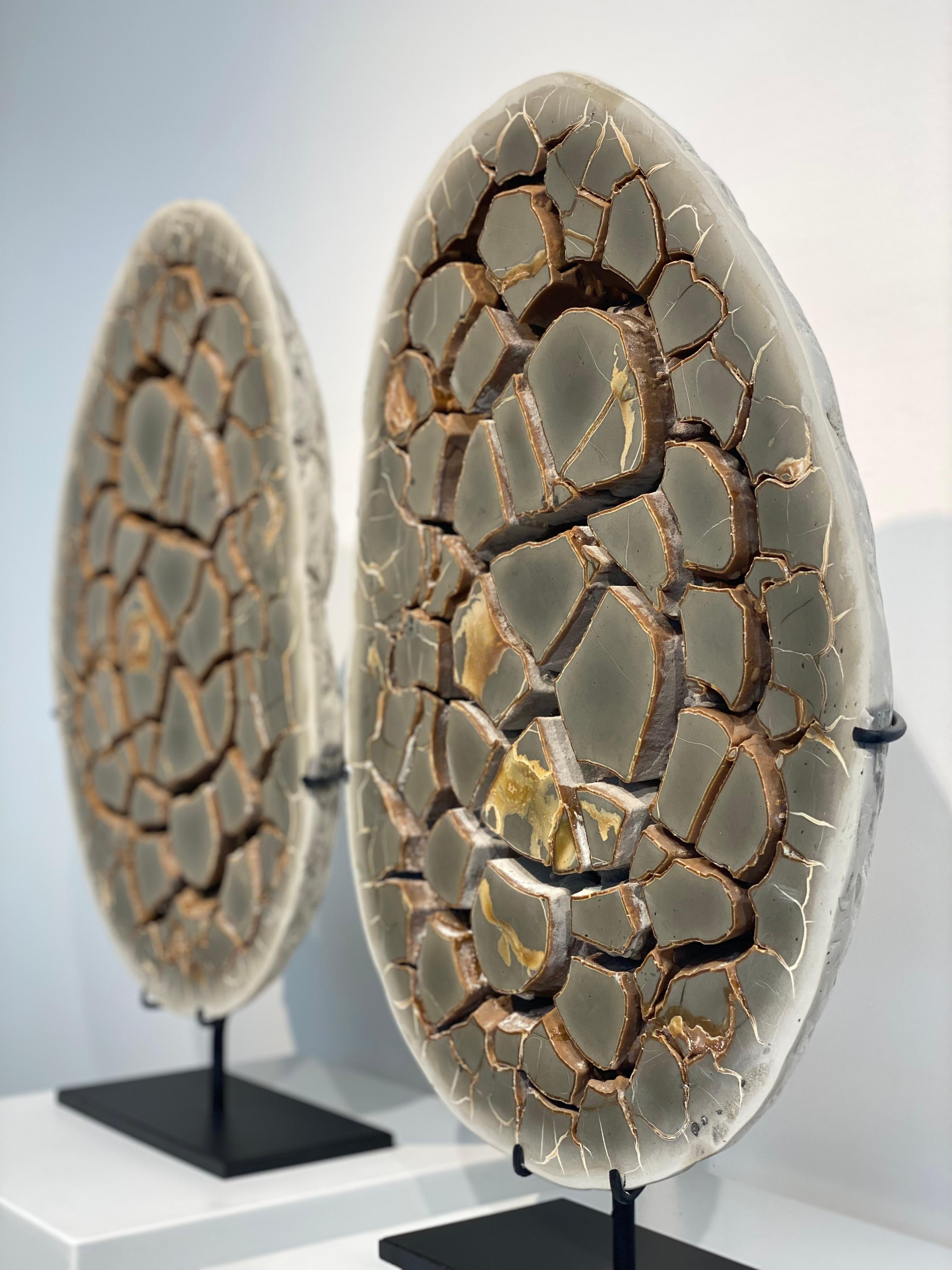 Cut Septarian Nodule on stand 4