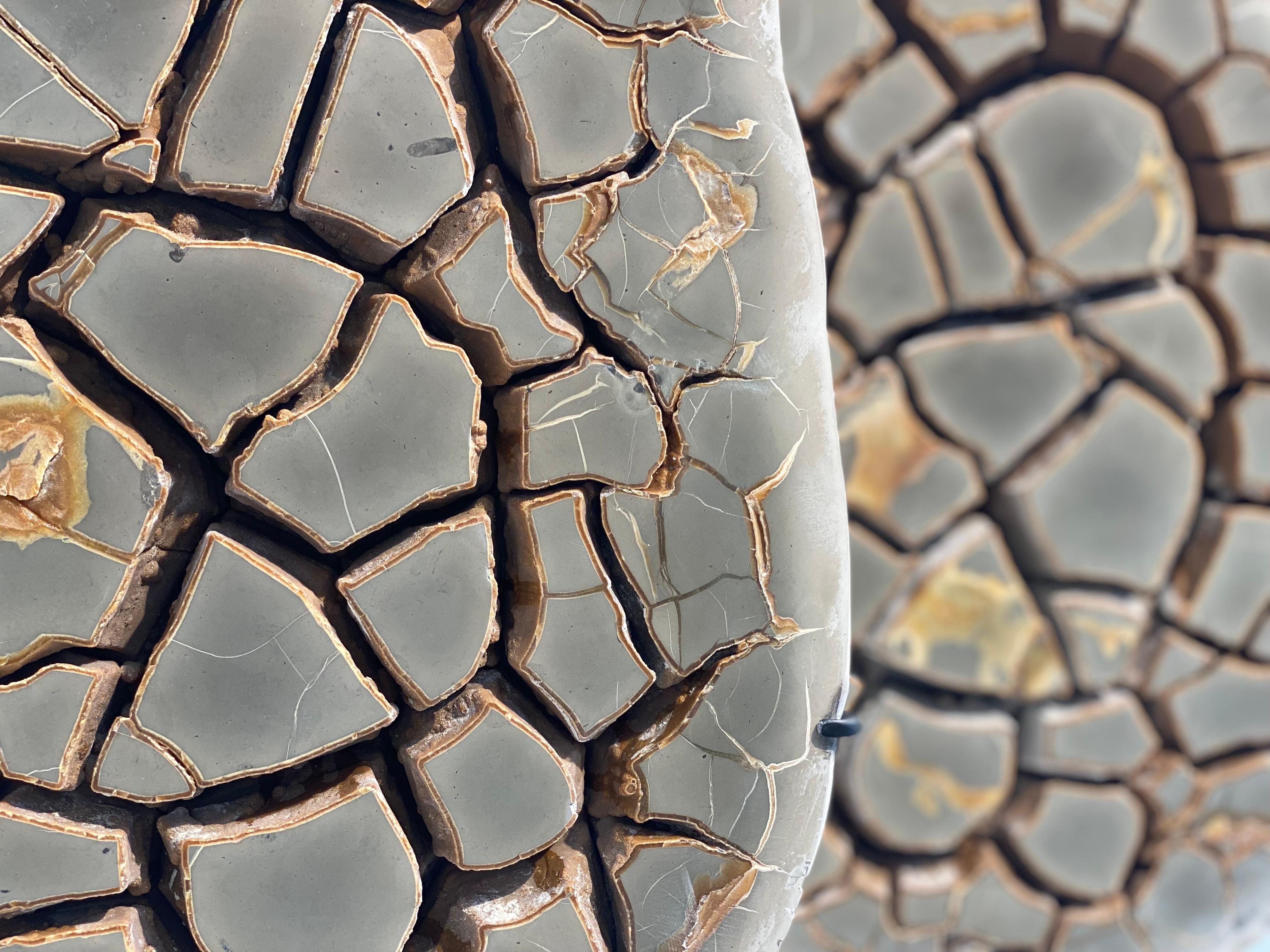 Cut Septarian Nodule on stand 6