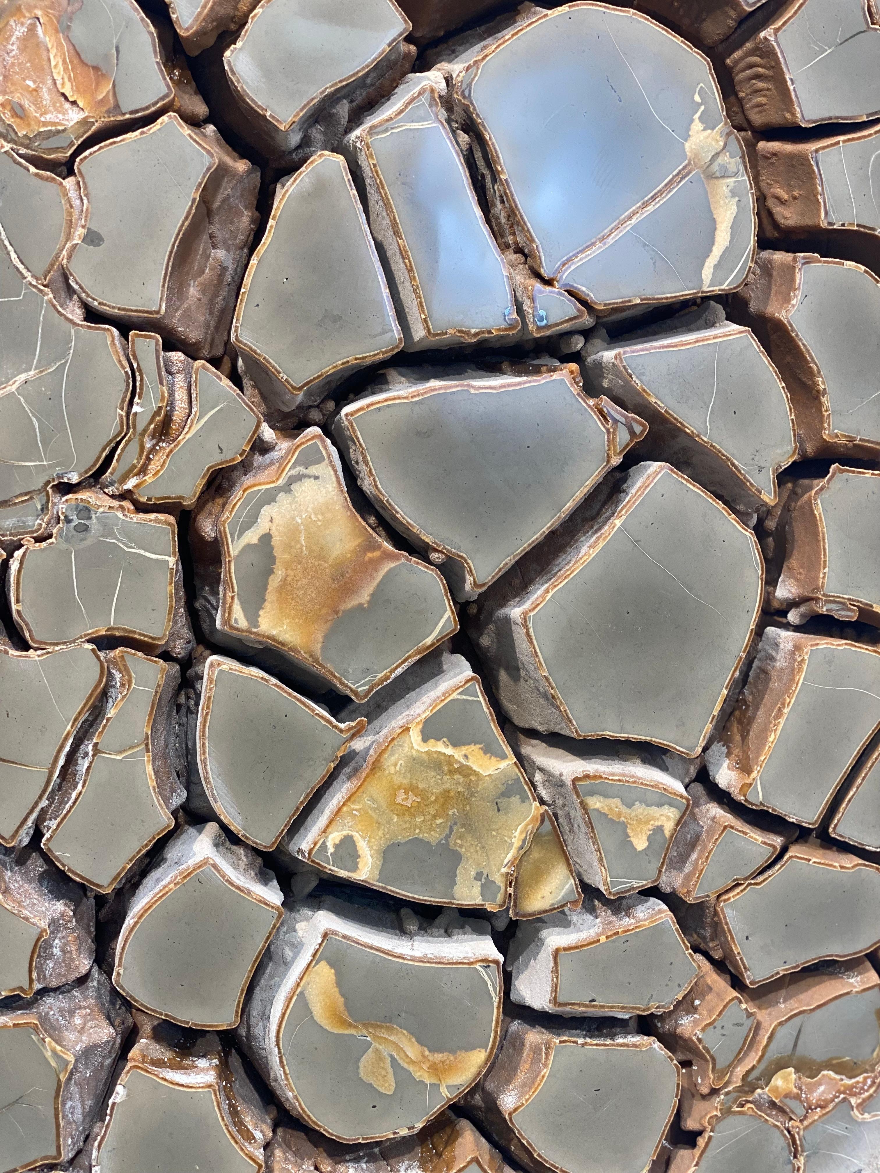 Cut Septarian Nodule on stand 10