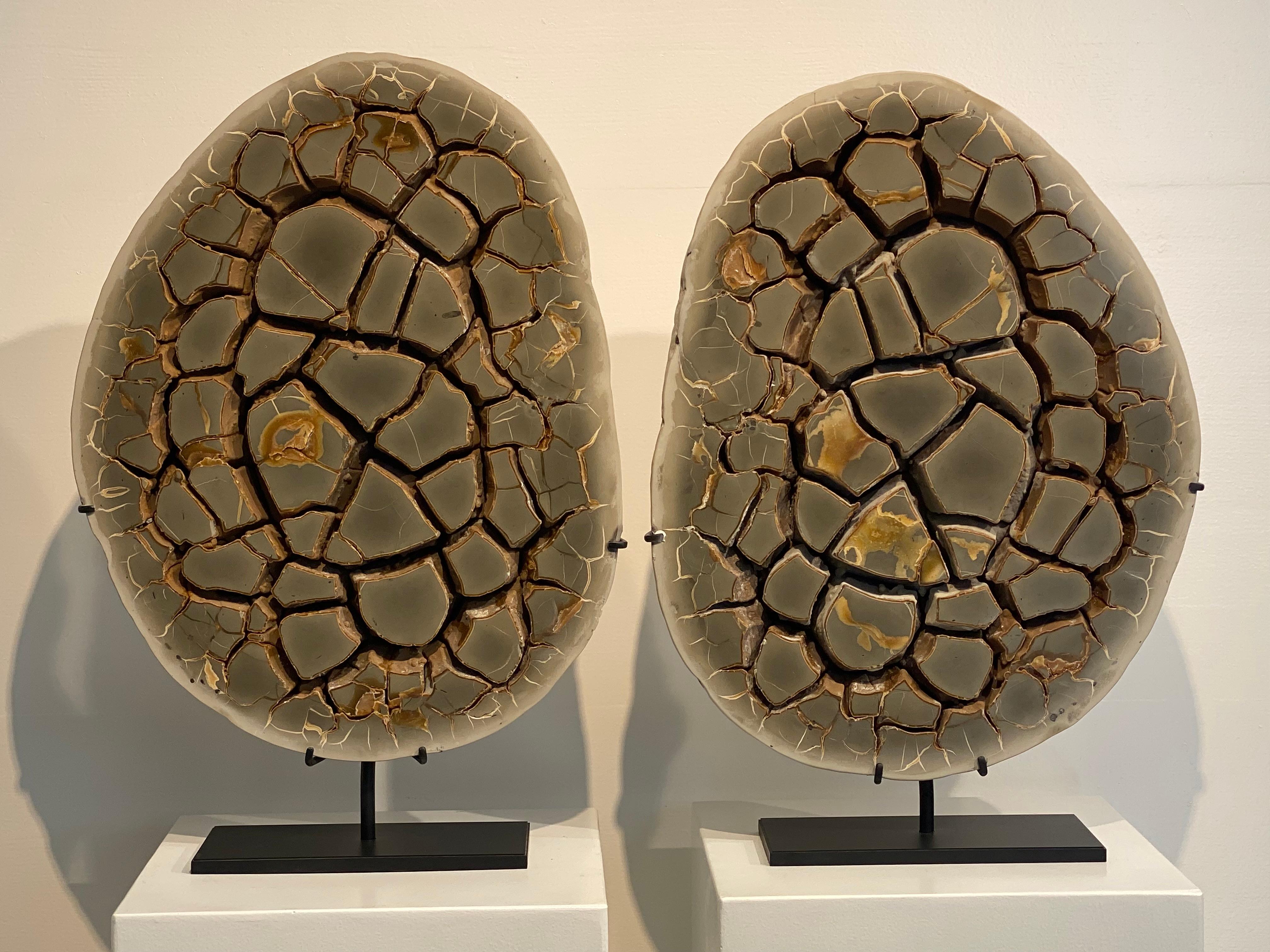 A beautiful cut Septarian Nodule on stand from Belgium,
find in Boom, from the Oligocene Period.
Cut and polished to reveal internal calcite and aragonite structures, beautiful patina and shine of the clay structures,
very decorative item,
mounted