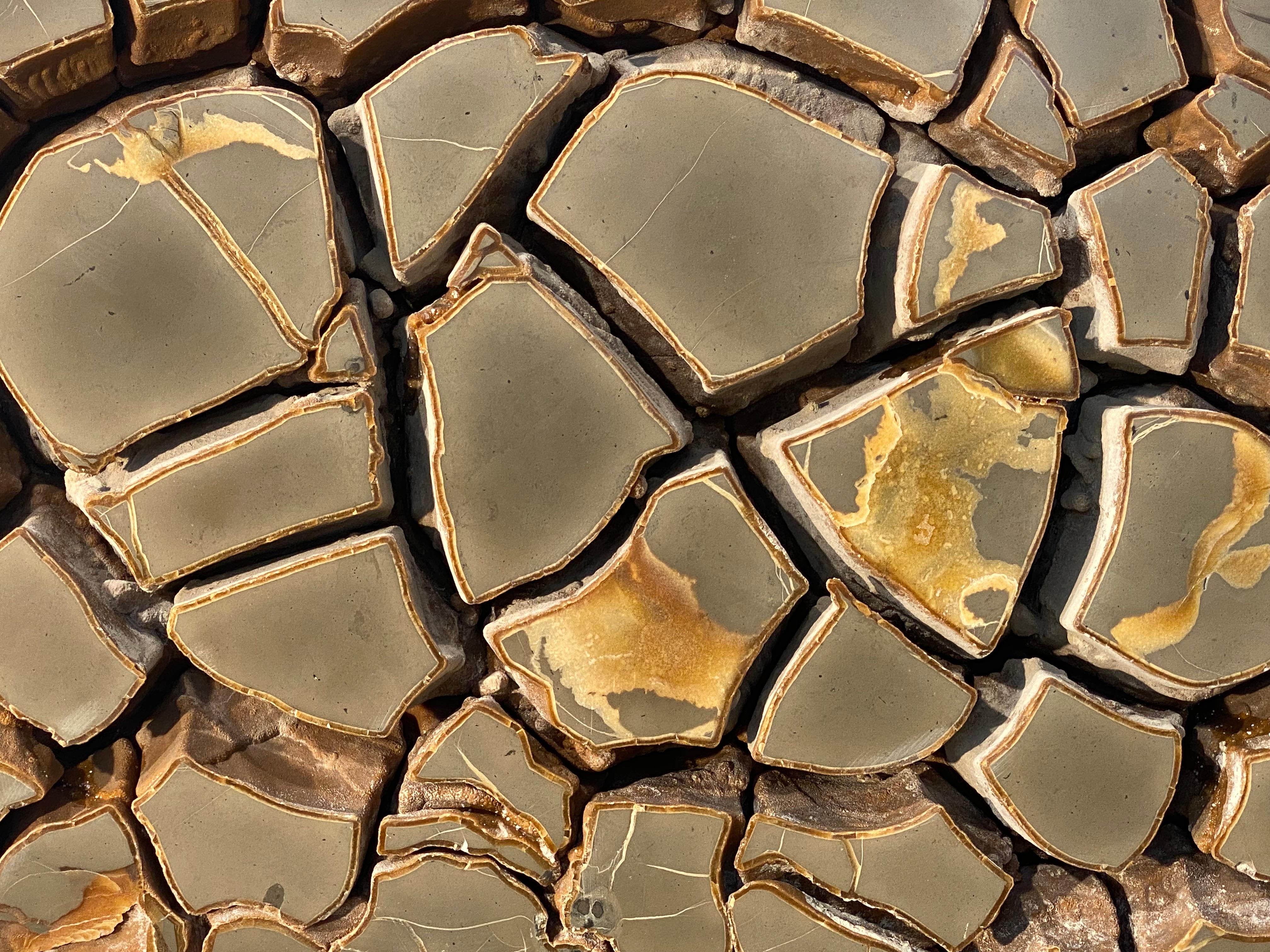 Polished Cut Septarian Nodule on stand