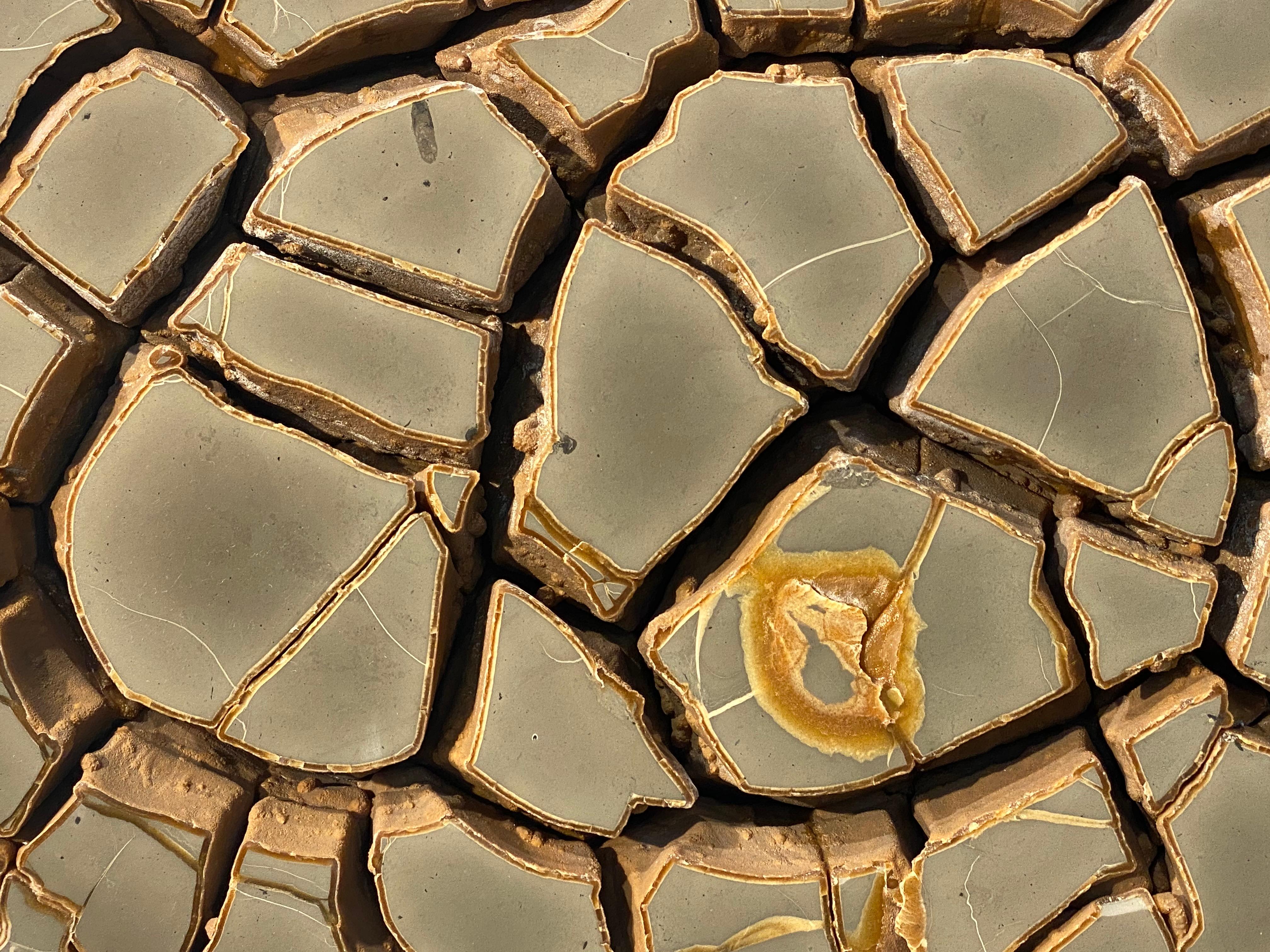 Cut Septarian Nodule on stand In Excellent Condition In Schellebelle, BE