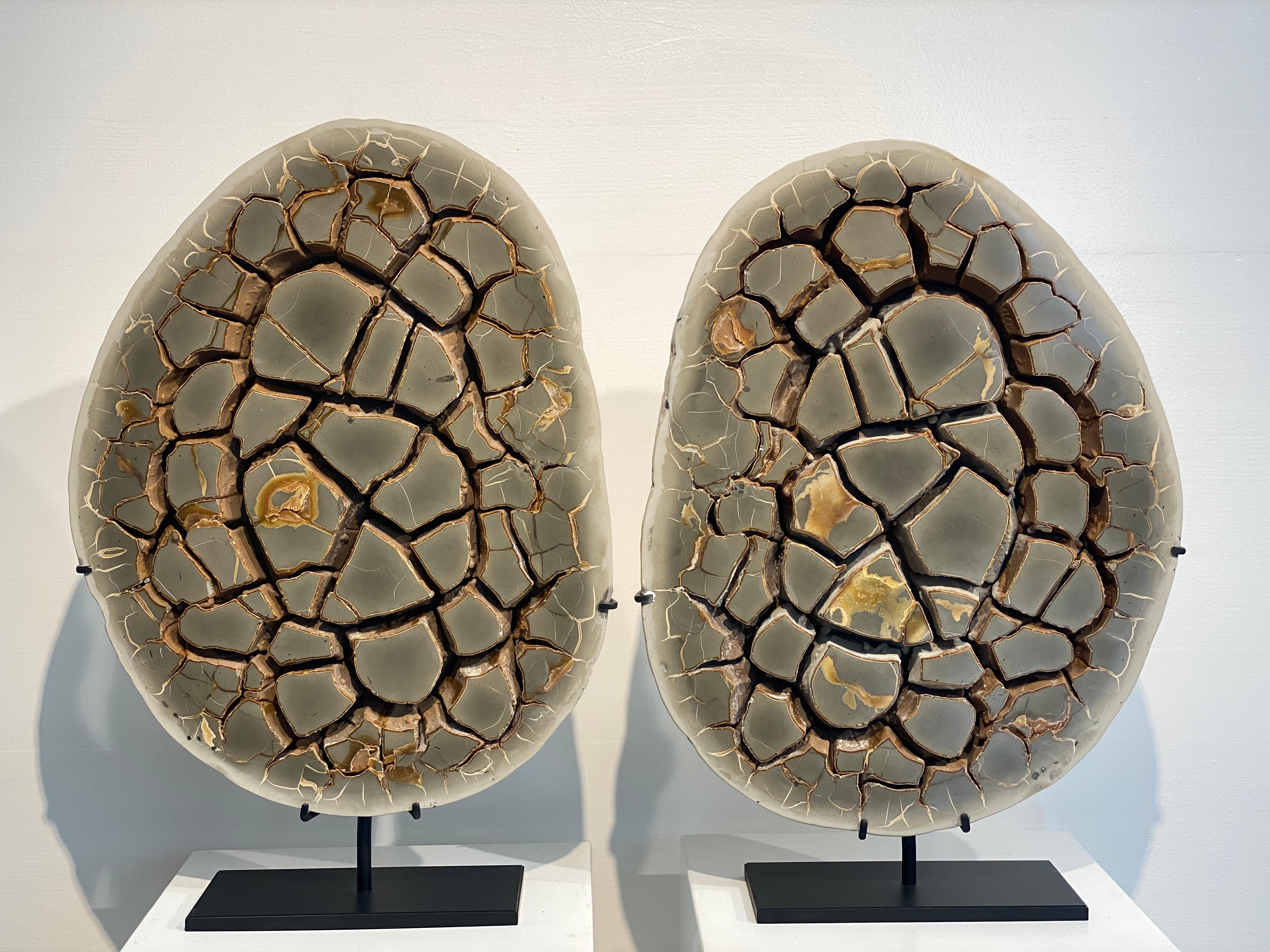 Stone Cut Septarian Nodule on stand