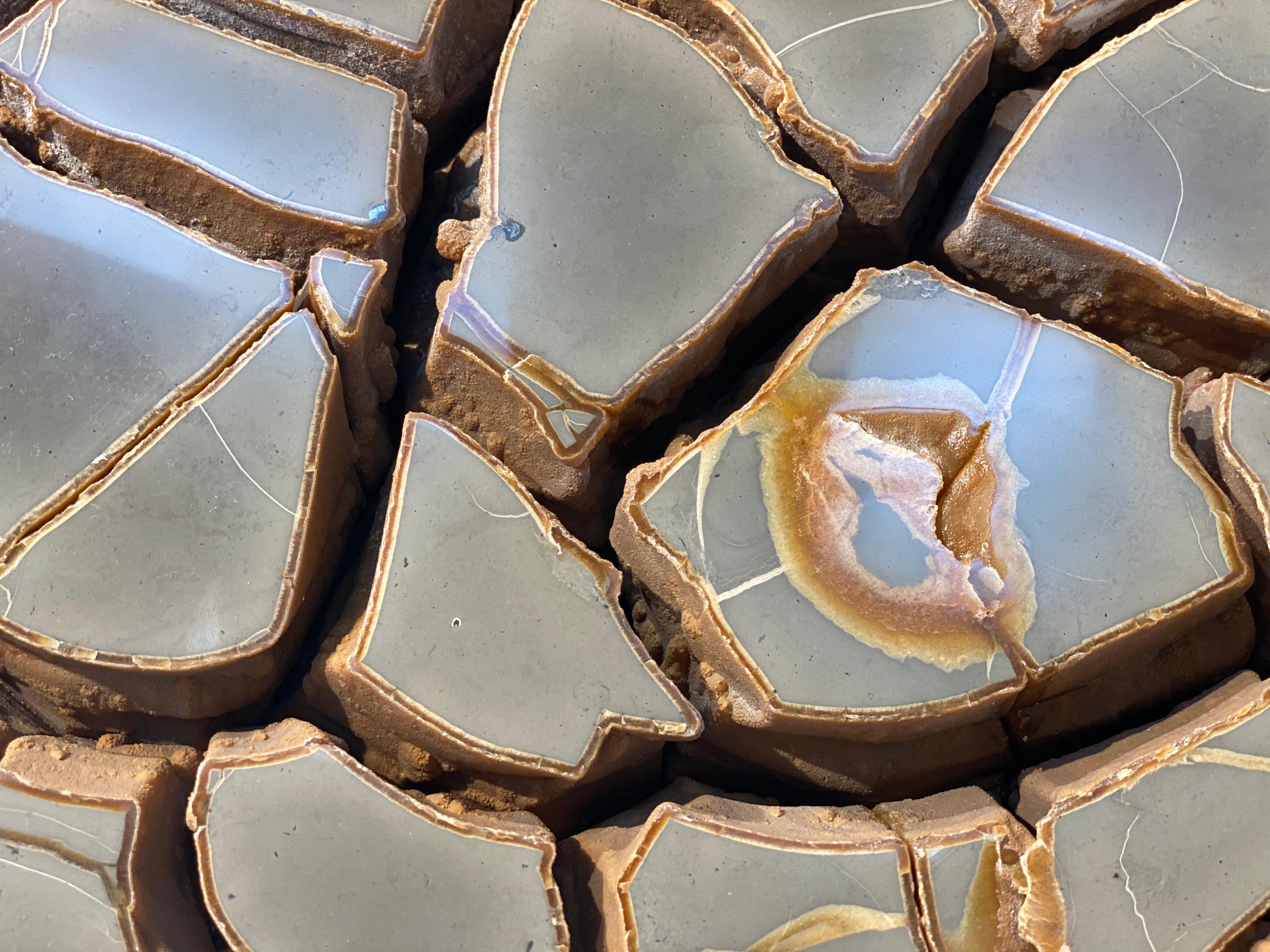 Cut Septarian Nodule on stand 1