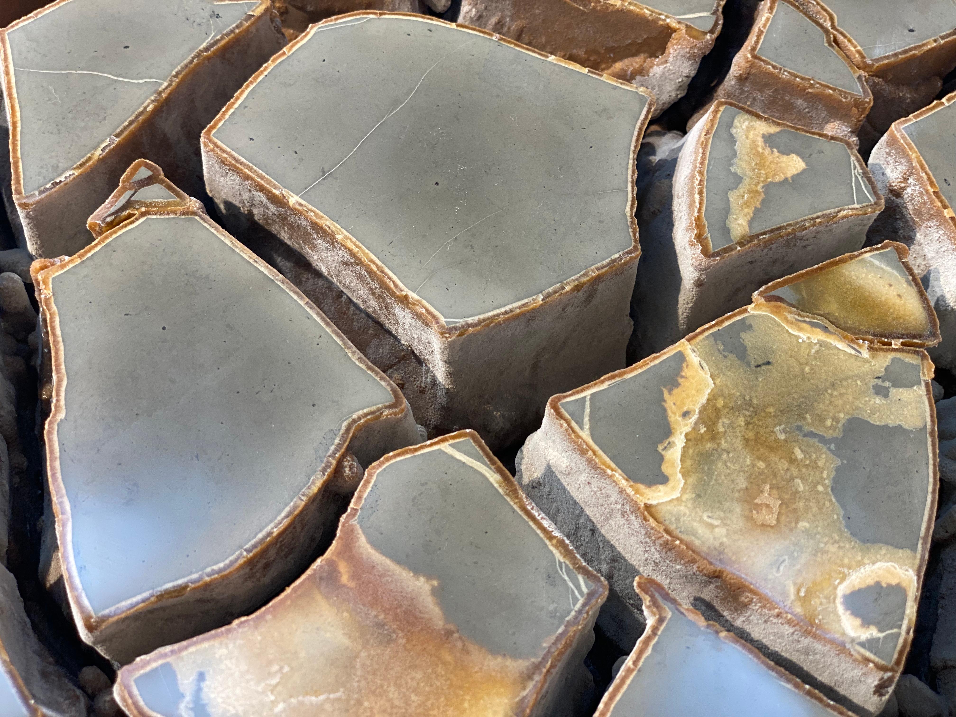 Cut Septarian Nodule on stand 2