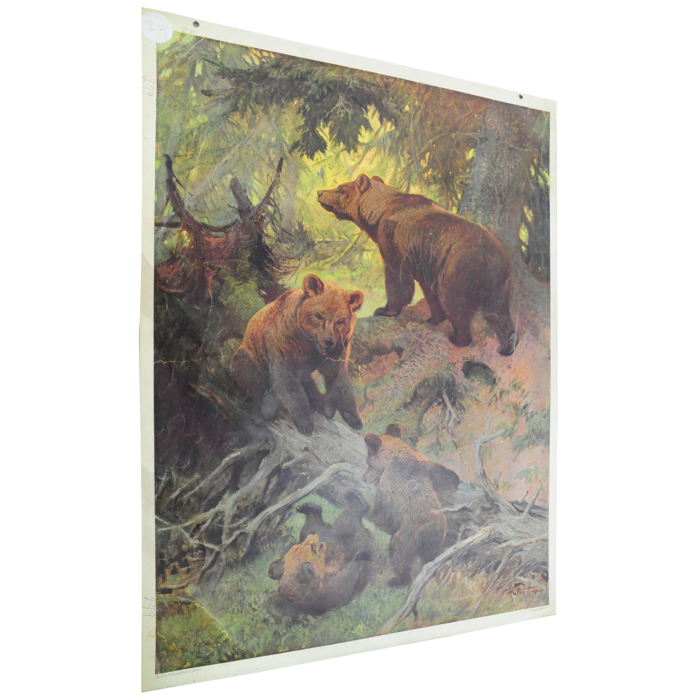 Countrycore Mural Vintage Cottagecore Printed Wall Chart Family of Brown Bears
