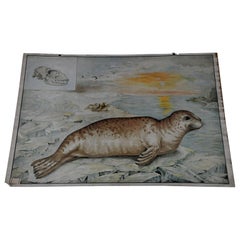 Countrycore Mural Cottagecore Wall Chart Vintage Poster Seal Maritime Wildlife