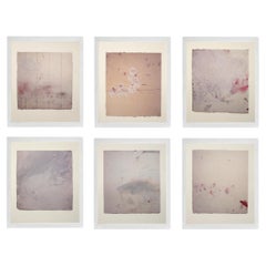 Lithographies Cy Twombly Abstract de Gaeta - Groupe de six pièces 