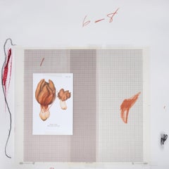 Natural History, Part 1, Mushrooms N. IX - Original Mixed Media by Cy Twombly