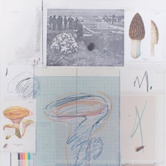 Natural History, Part 1, Mushrooms N. VII - Original Mixed Media by Cy Twombly