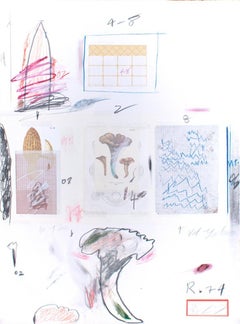 Natural History Part 1 Mushrooms n. X/Mushrooms N. VI -  Cy Twombly