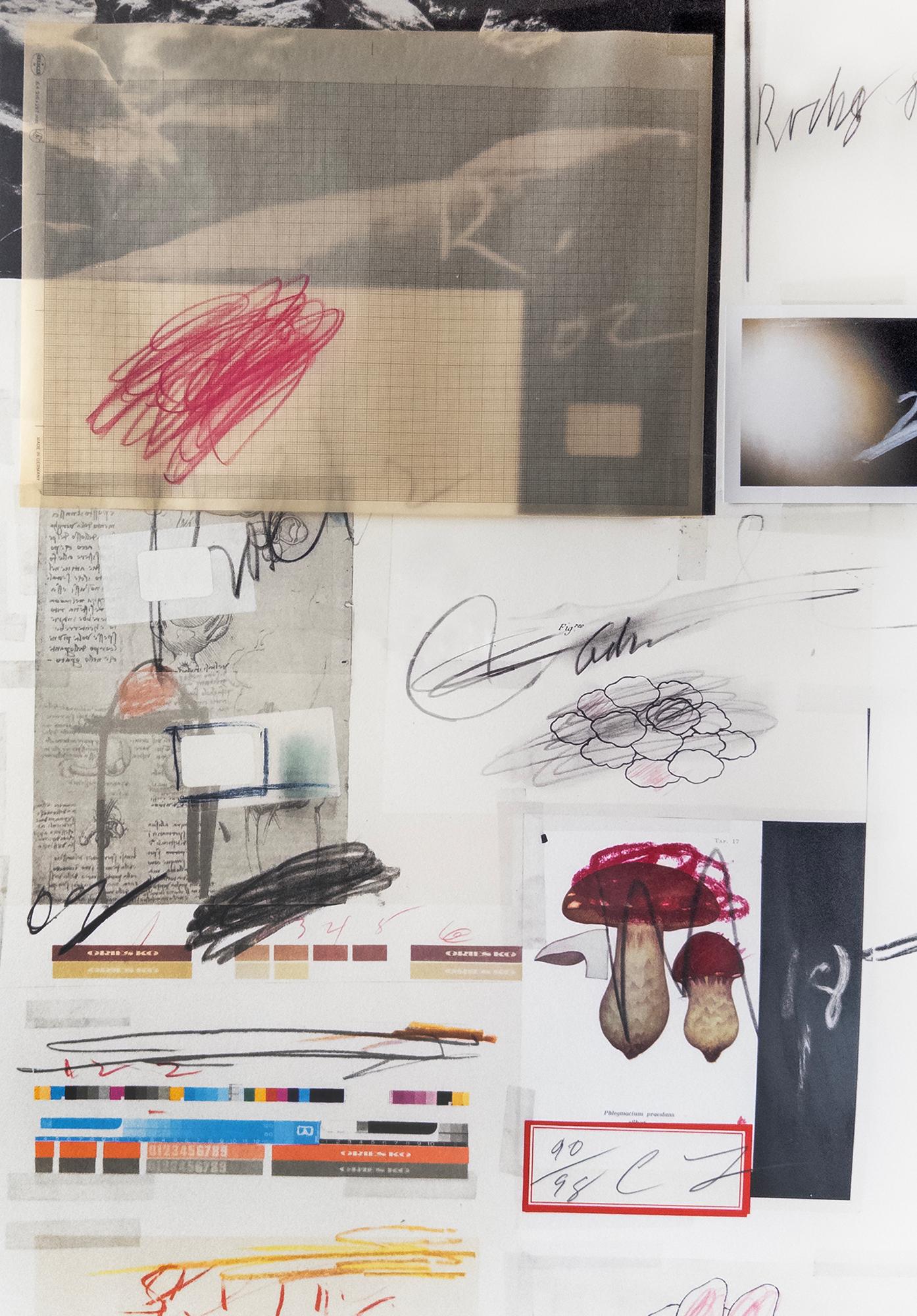 Natural History, Part I, Mushrooms No. X di Cy Twombly, 1974. No. 90 / 98. 2