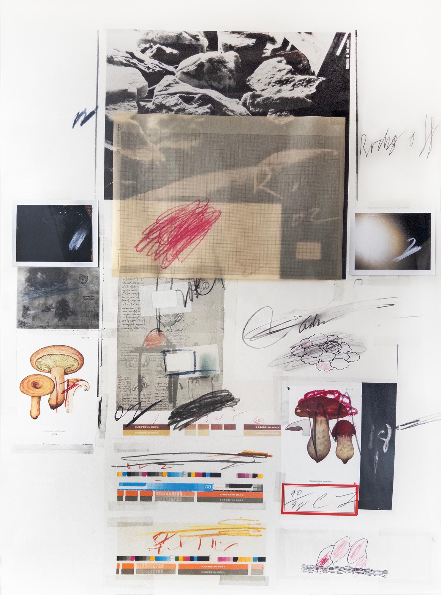 Natural History, Part I, Mushrooms No. X di Cy Twombly, 1974. No. 90 / 98. 3