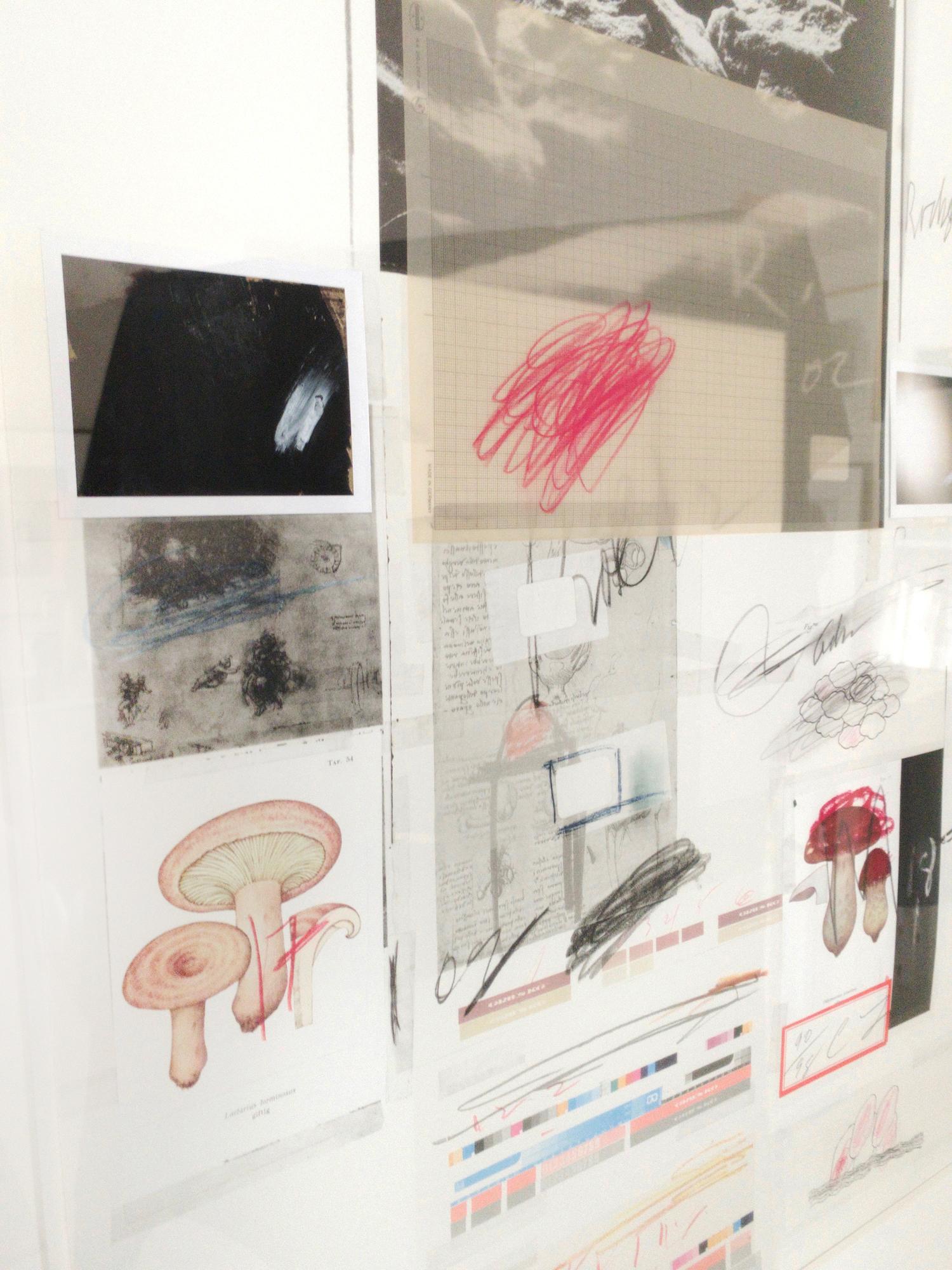 Natural History, Part I, Mushrooms No. X di Cy Twombly, 1974. No. 90 / 98. 4