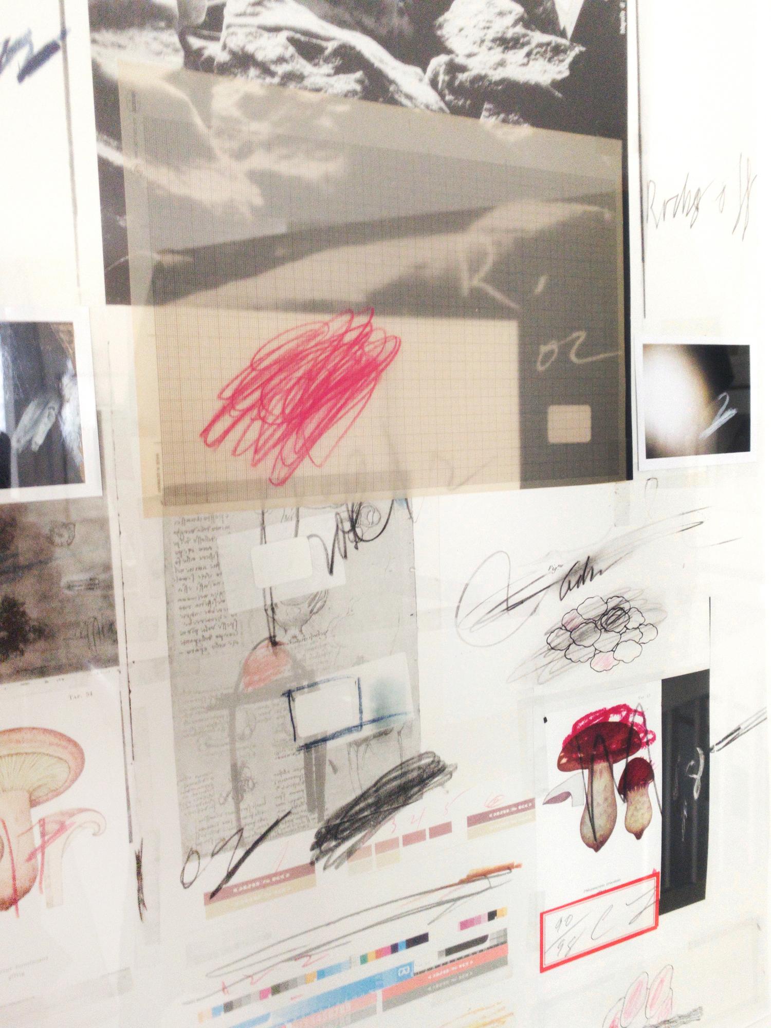 Natural History, Part I, Mushrooms No. X di Cy Twombly, 1974. No. 90 / 98. 5