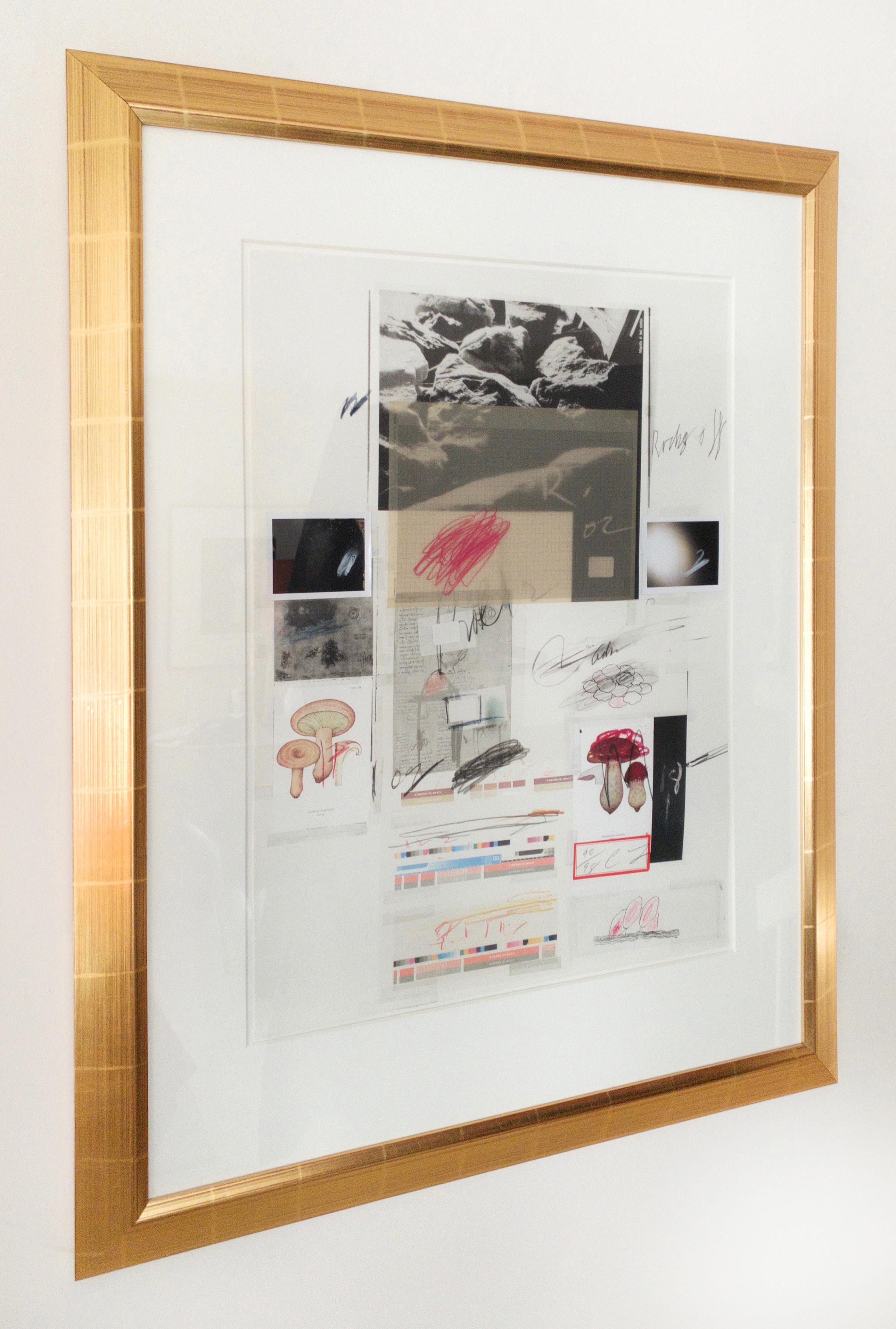 Natural History, Part I, Mushrooms No. X di Cy Twombly, 1974. No. 90 / 98. 6
