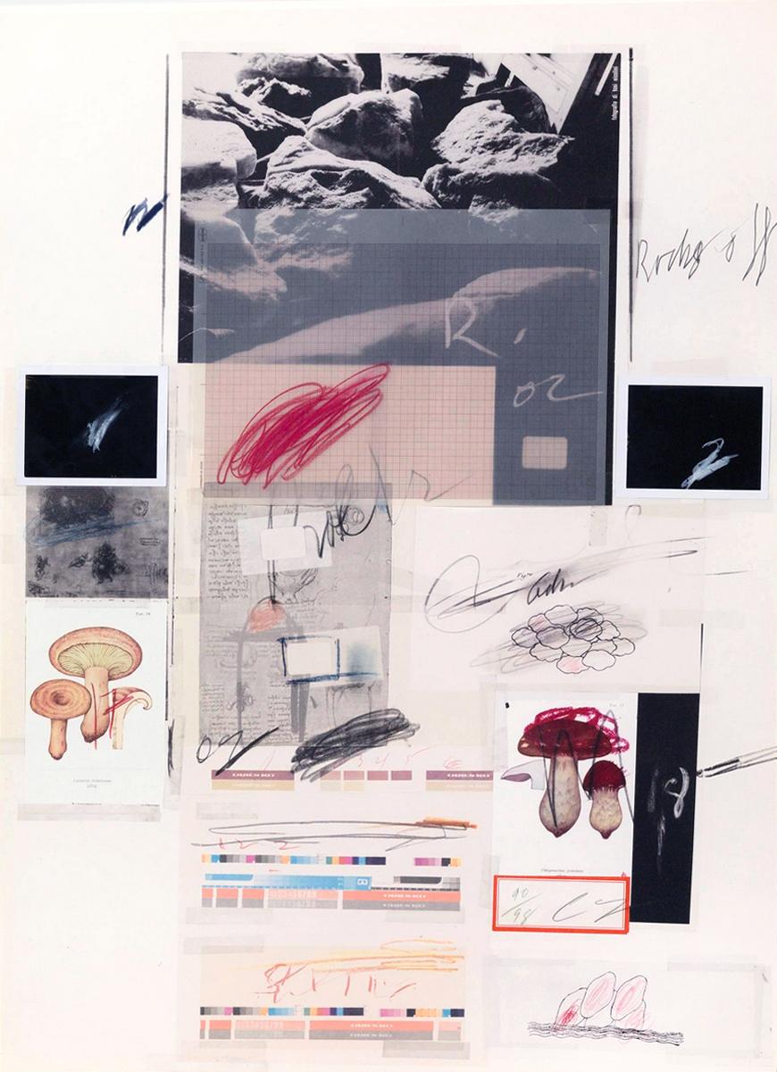 Natural History, Part I, Mushrooms No. X di Cy Twombly, 1974. No. 90 / 98. 7