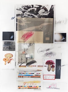 L'histoire naturelle, partie I, Mushrooms No. X de Cy Twombly, 1974. N° 90 / 98.