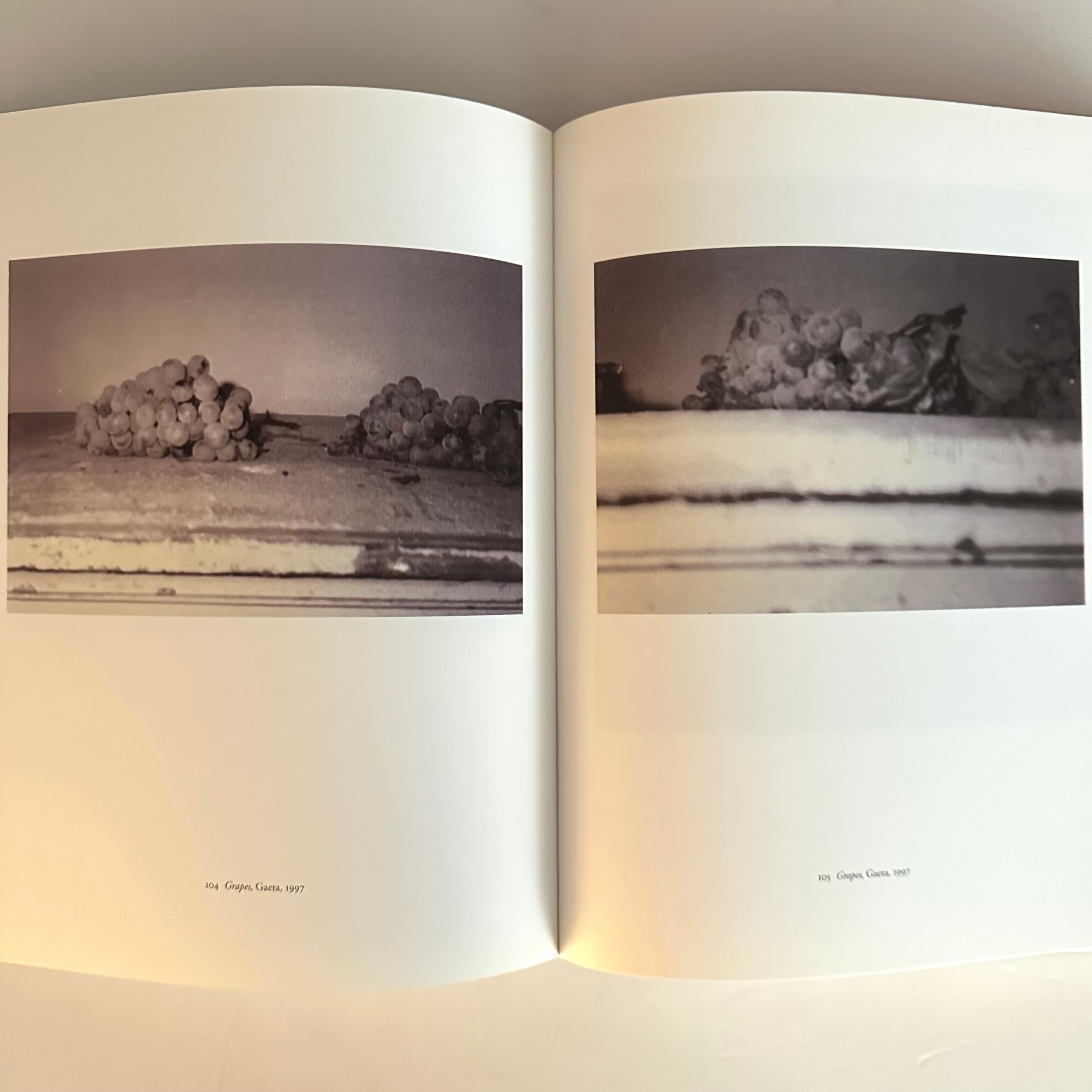 Paper Cy Twombly Photographs 1951 -2007 - Laszlo Glozer - 1st edition, Germany, 2008 For Sale