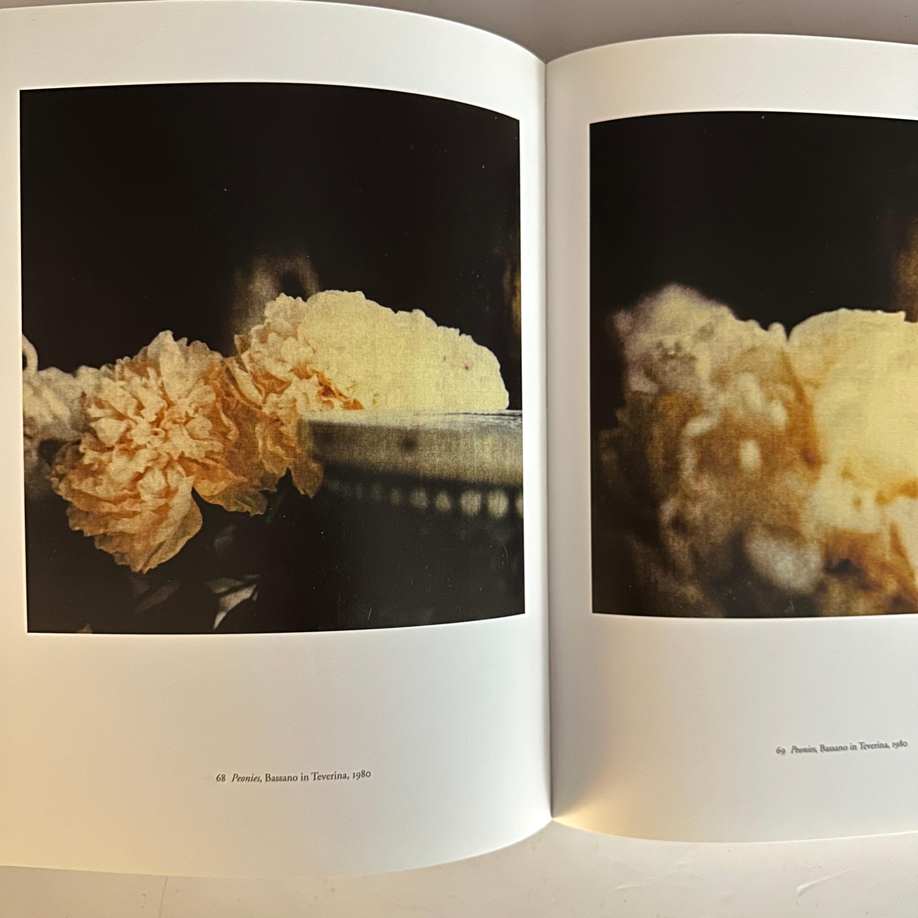 Cy Twombly Photographs 1951 -2007 - Laszlo Glozer - 1st edition, Germany, 2008 For Sale 1