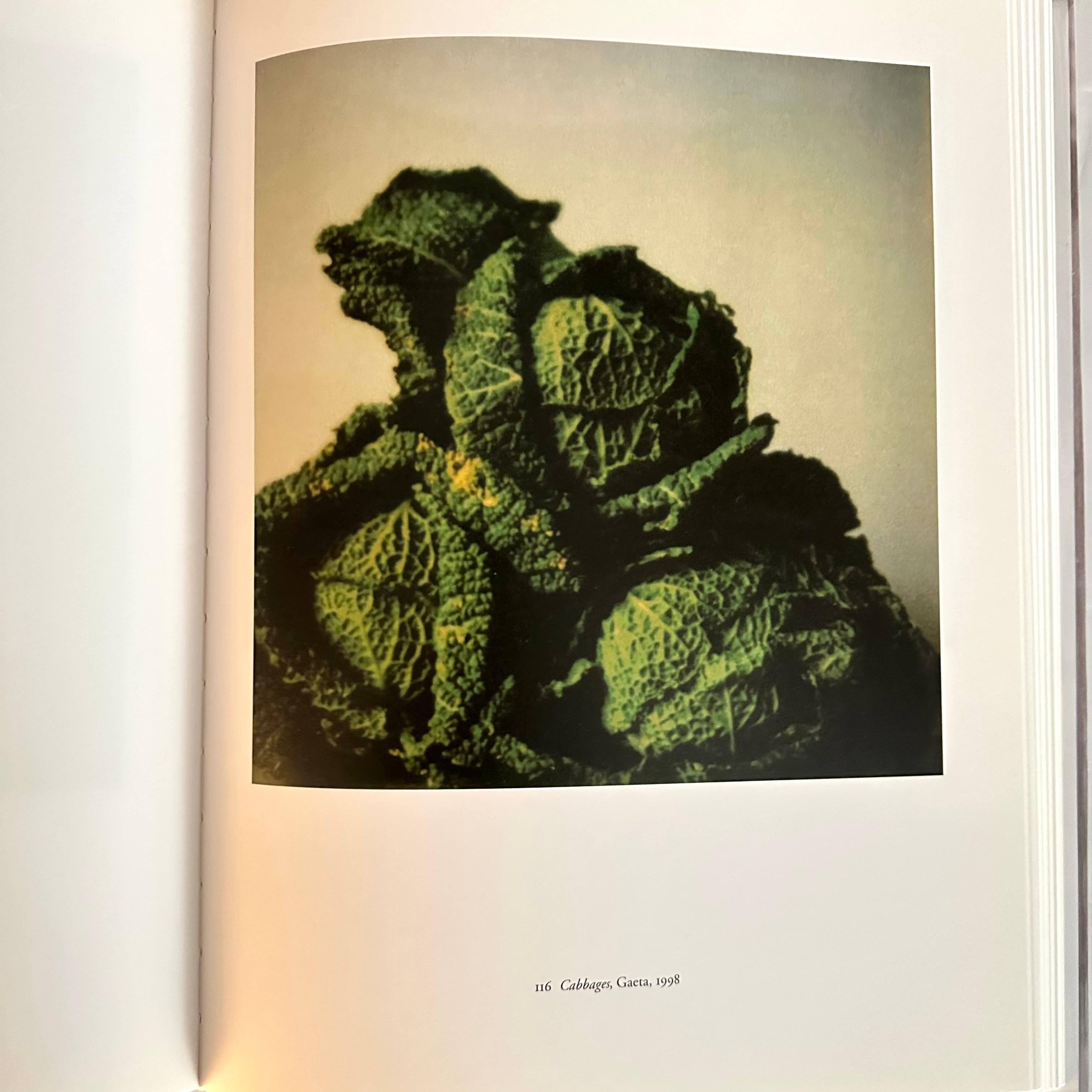 Cy Twombly Photographs 1951 -2007 - Laszlo Glozer - 1st edition, Germany, 2008 For Sale 3