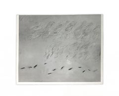 Cy Twombly "Diana Passes", 1962-67 Original Gelatin Silver Print Archive