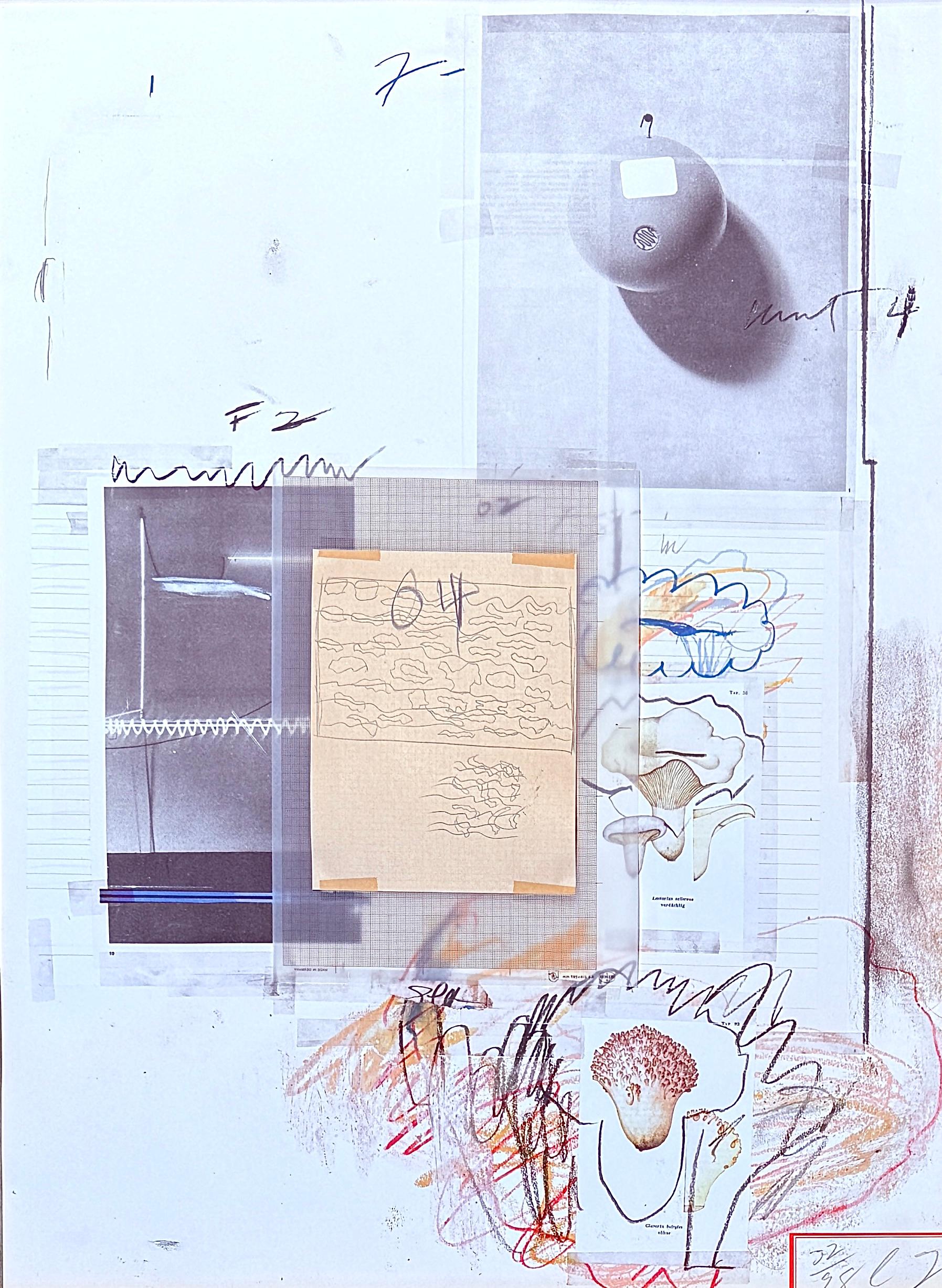 Cy Twombly (1928-2011) - Natural History Part One, Mushrooms : Planche VIII - 1974 en vente 1