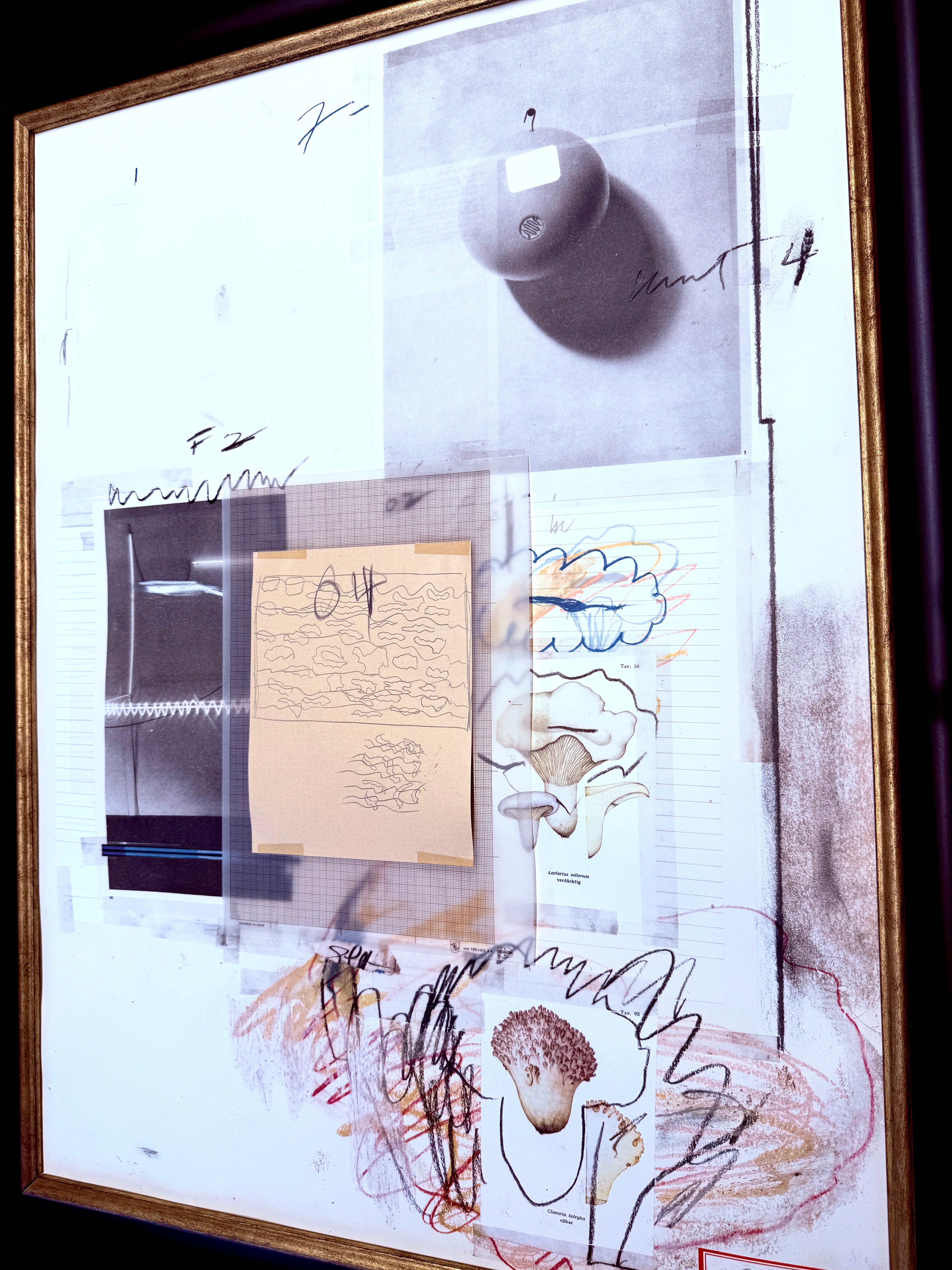 Cy Twombly (1928-2011) - Natural History Part One, Mushrooms : Planche VIII - 1974 en vente 2
