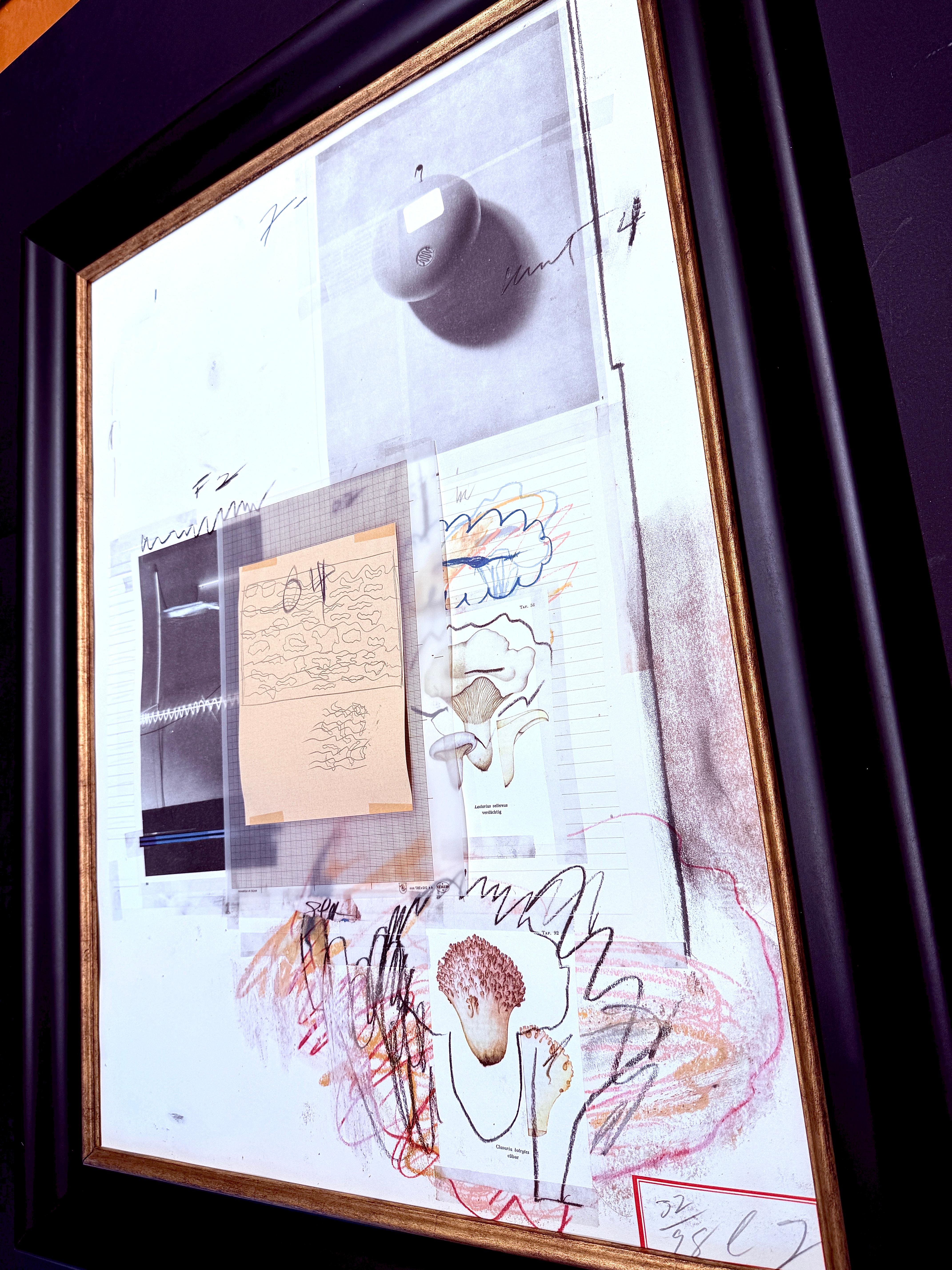 Cy Twombly (1928-2011) - Natural History Part One, Mushrooms : Planche VIII - 1974 en vente 3