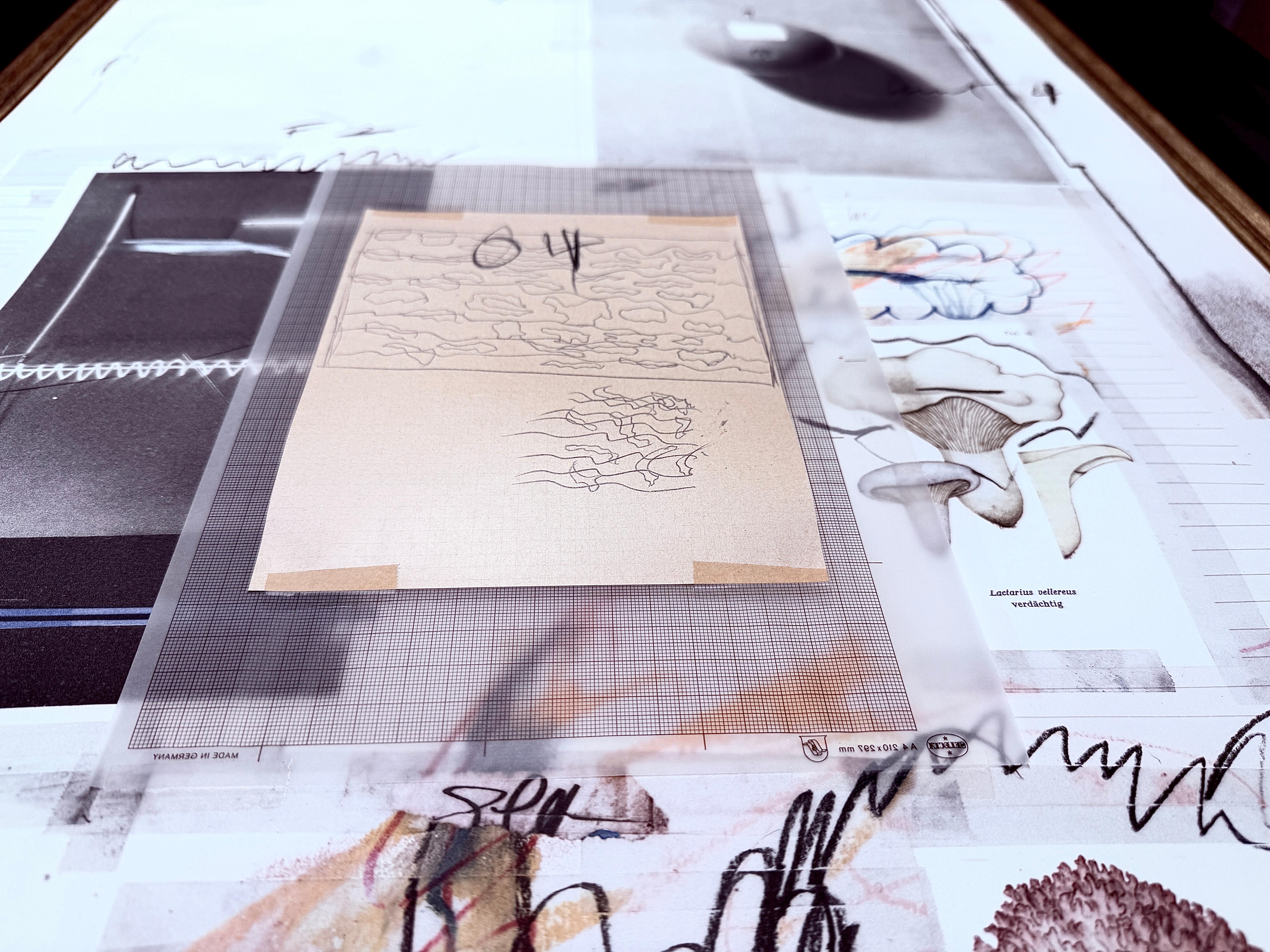 Cy Twombly (1928-2011) - Natural History Part One, Mushrooms : Planche VIII - 1974 en vente 4