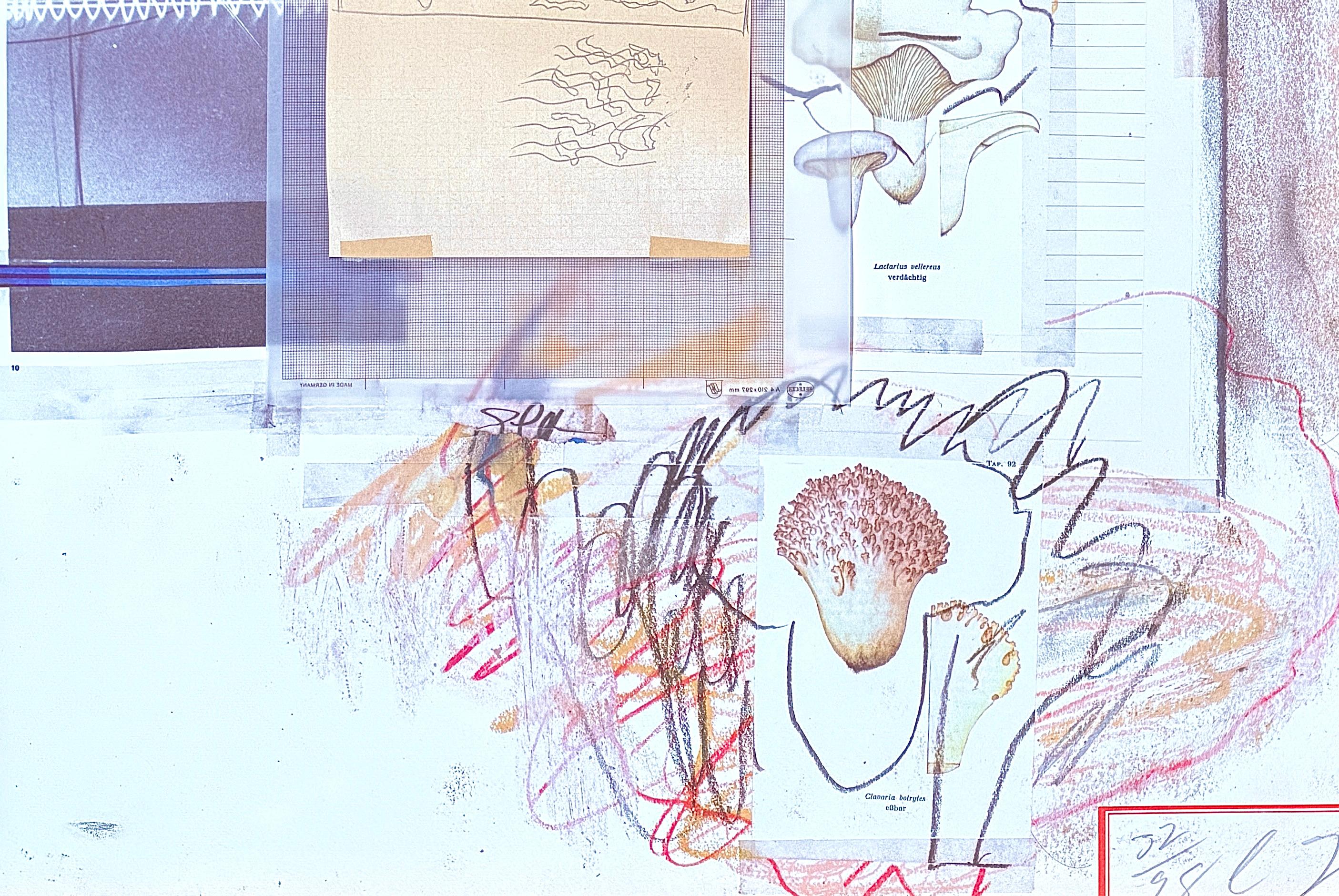 Cy Twombly (1928-2011) - Natural History Part One, Mushrooms : Planche VIII - 1974 en vente 6