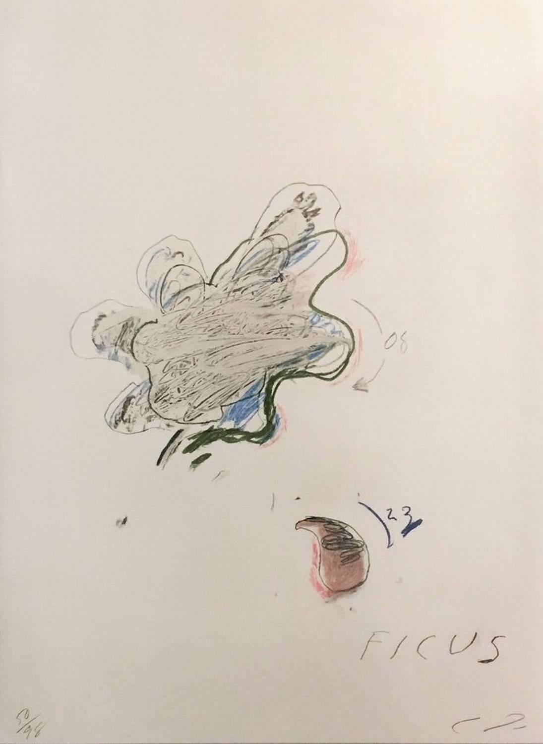 Natural History II: Ficus Carica - Print by Cy Twombly
