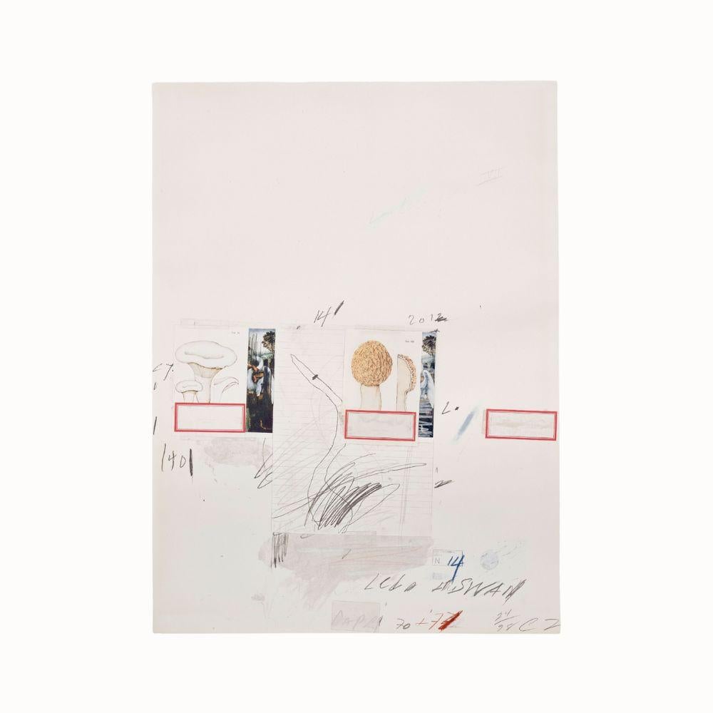 No. I, da Natural History, Part I, Mushroom (Bastian 42), 1974, litografia