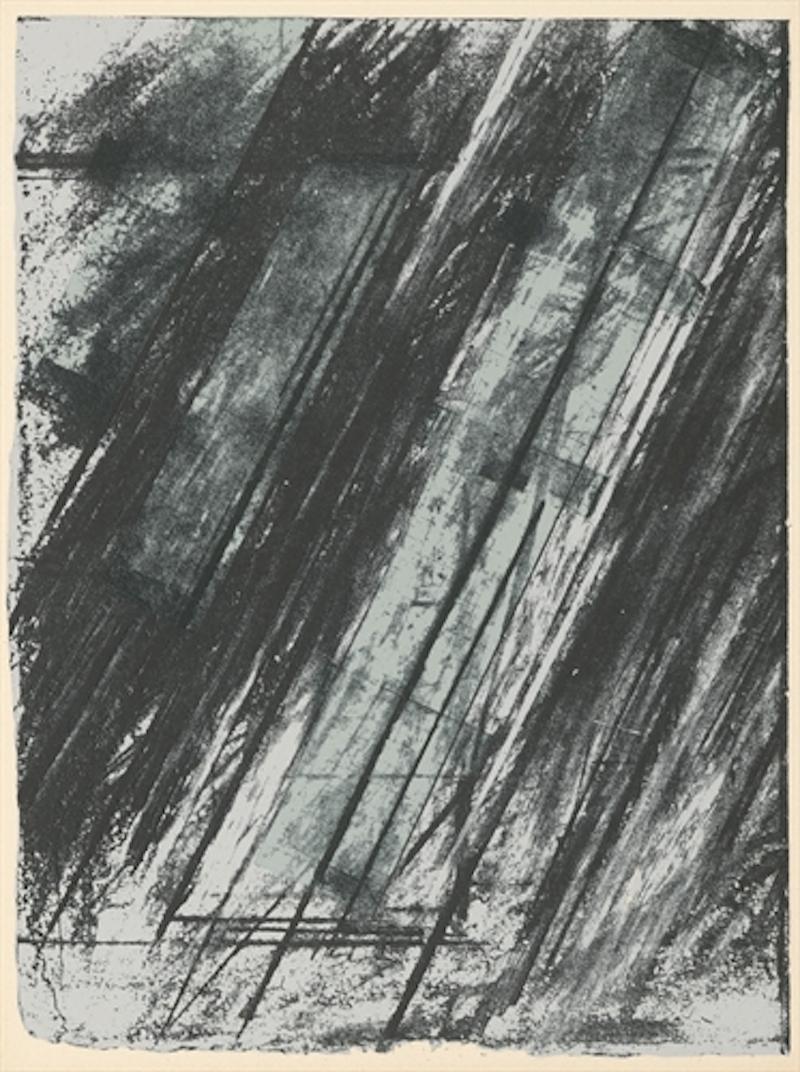 Did Cy Twombly use oil paint?