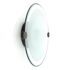 Cyclos Applique or Ceiling Light by Michele De Lucchi for Artemide, 1980s
