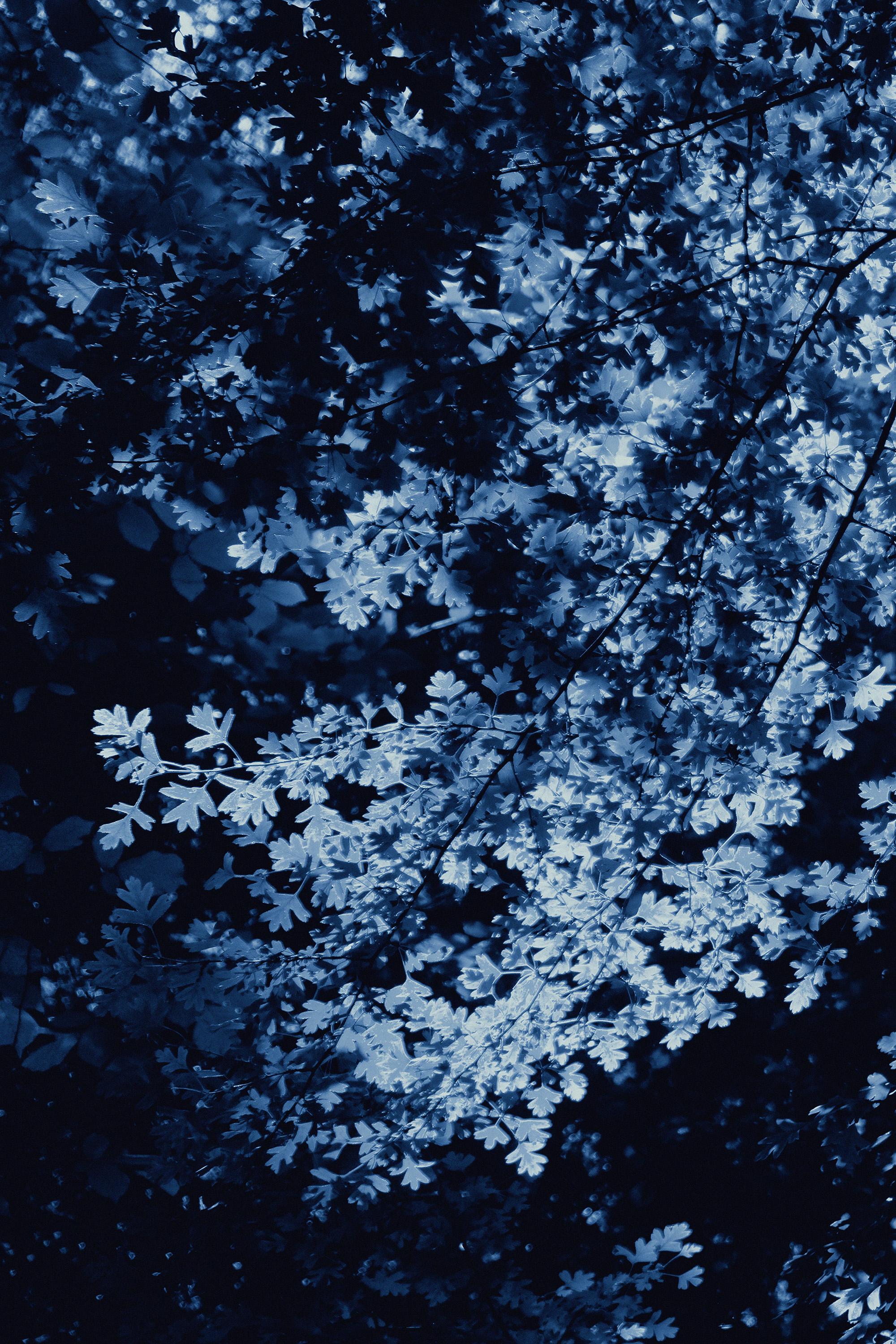 Dark Forest, Giclée Print Diptych Landscape, Blue Tones Impressionist Leaves For Sale 3