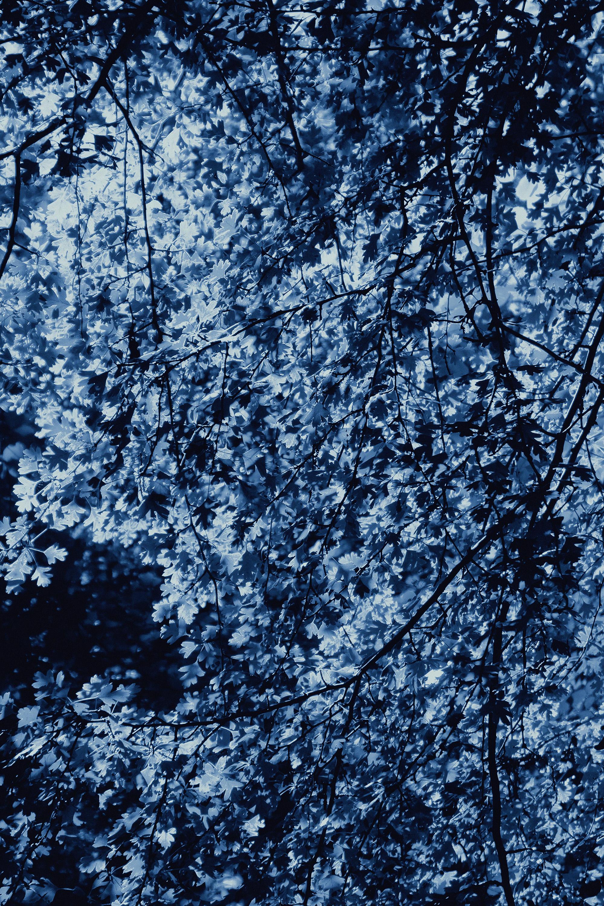 Dark Forest, Giclée Print Diptych Landscape, Blue Tones Impressionist Leaves For Sale 4