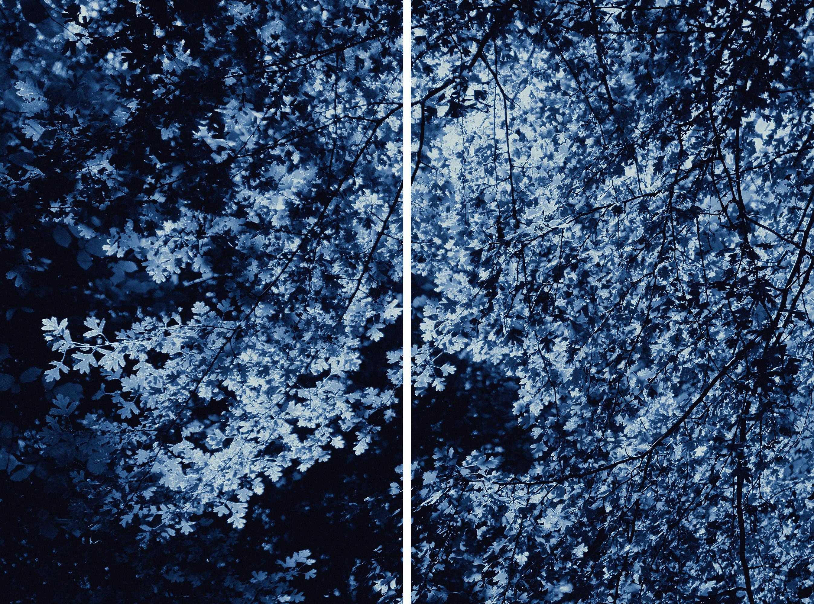 Bosque Oscuro, Impresión Giclée Díptico Paisaje, Tonos Azules Hojas Impresionistas
