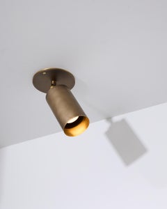 Cylindrical Brass Monopoint Spotlight