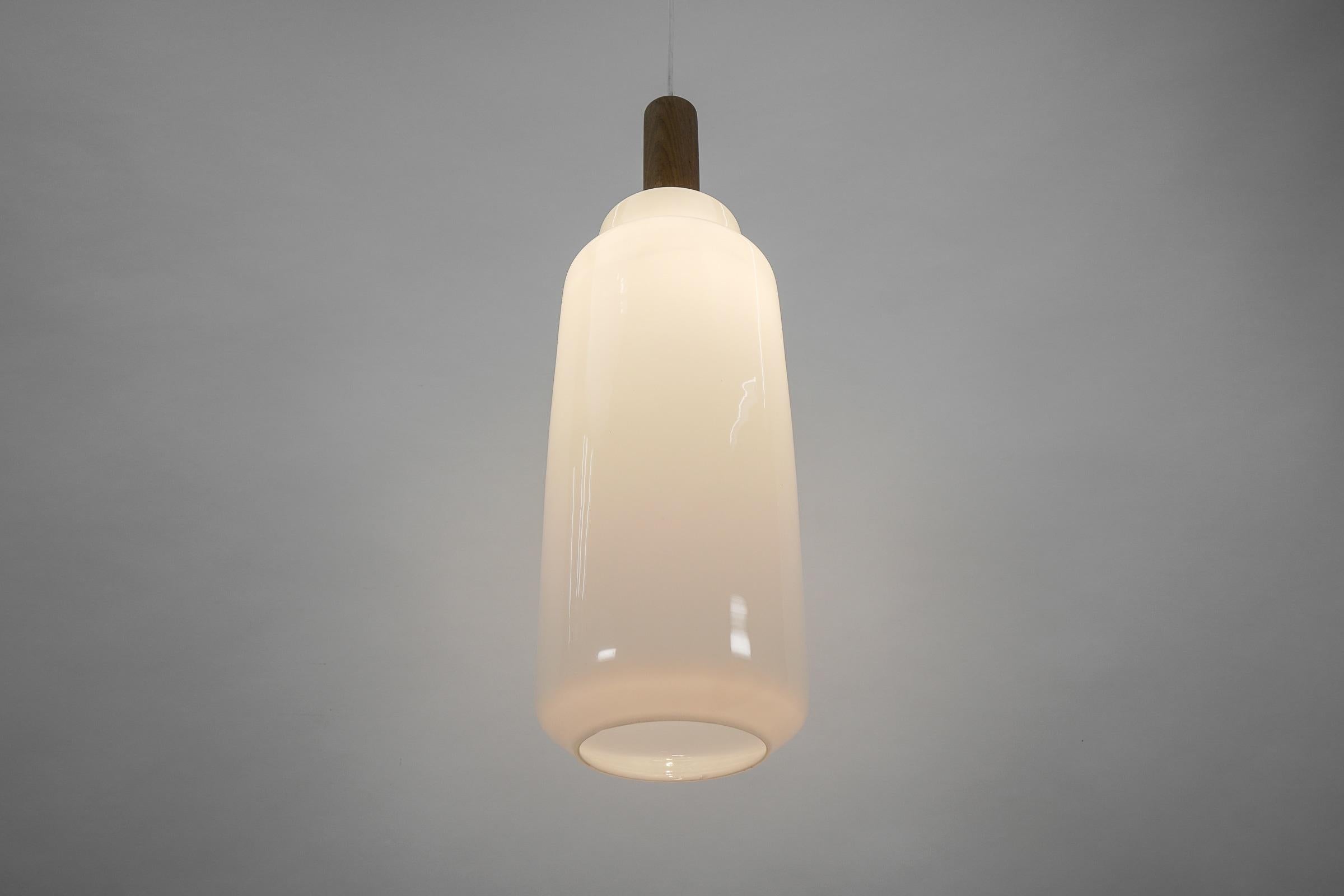 Mid-20th Century Cylindrical Scandinavian Opal Glass Hanging Lamp with Teak Wood, 1960s For Sale