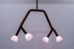 Cymatic Lens Chandelier in Arbutus Brown Steel with Iris Pink Glass Diffusers
