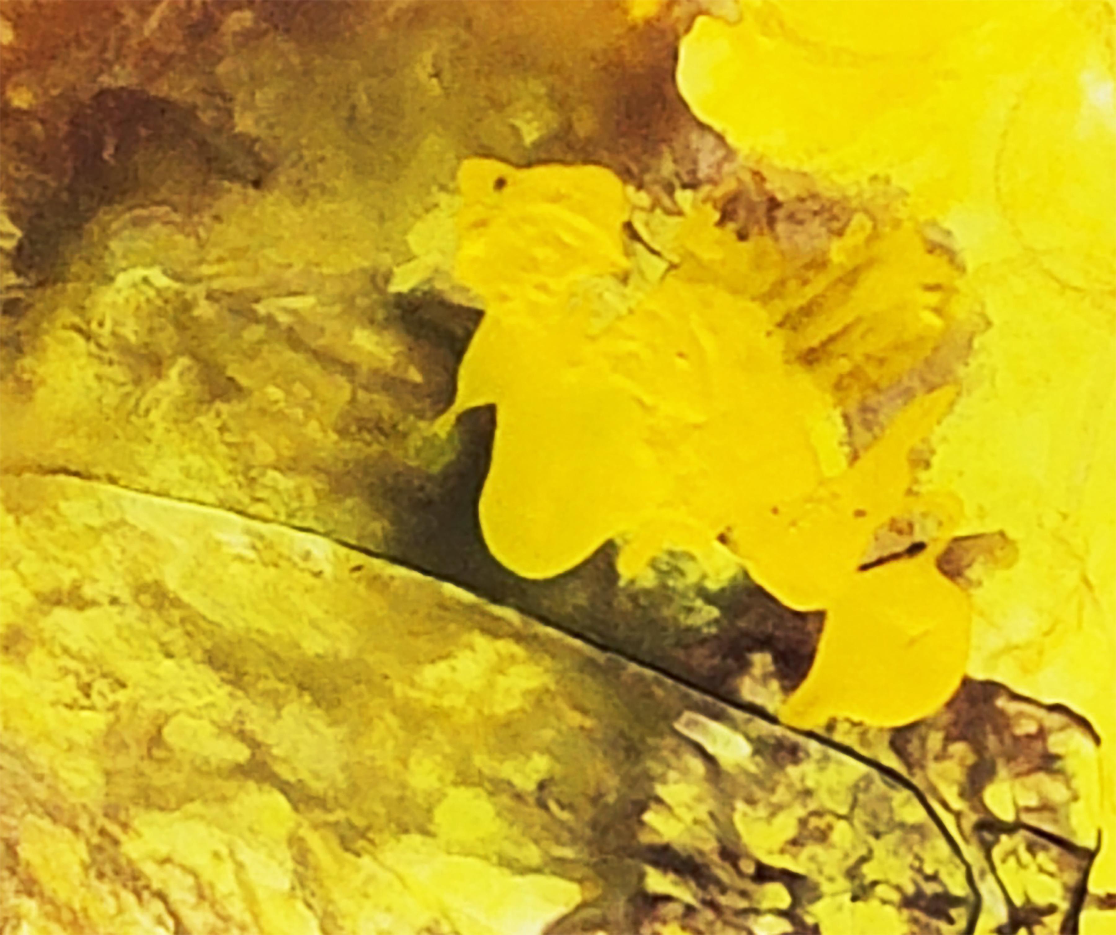 Mysterious Yellow  Stains I For Sale 2
