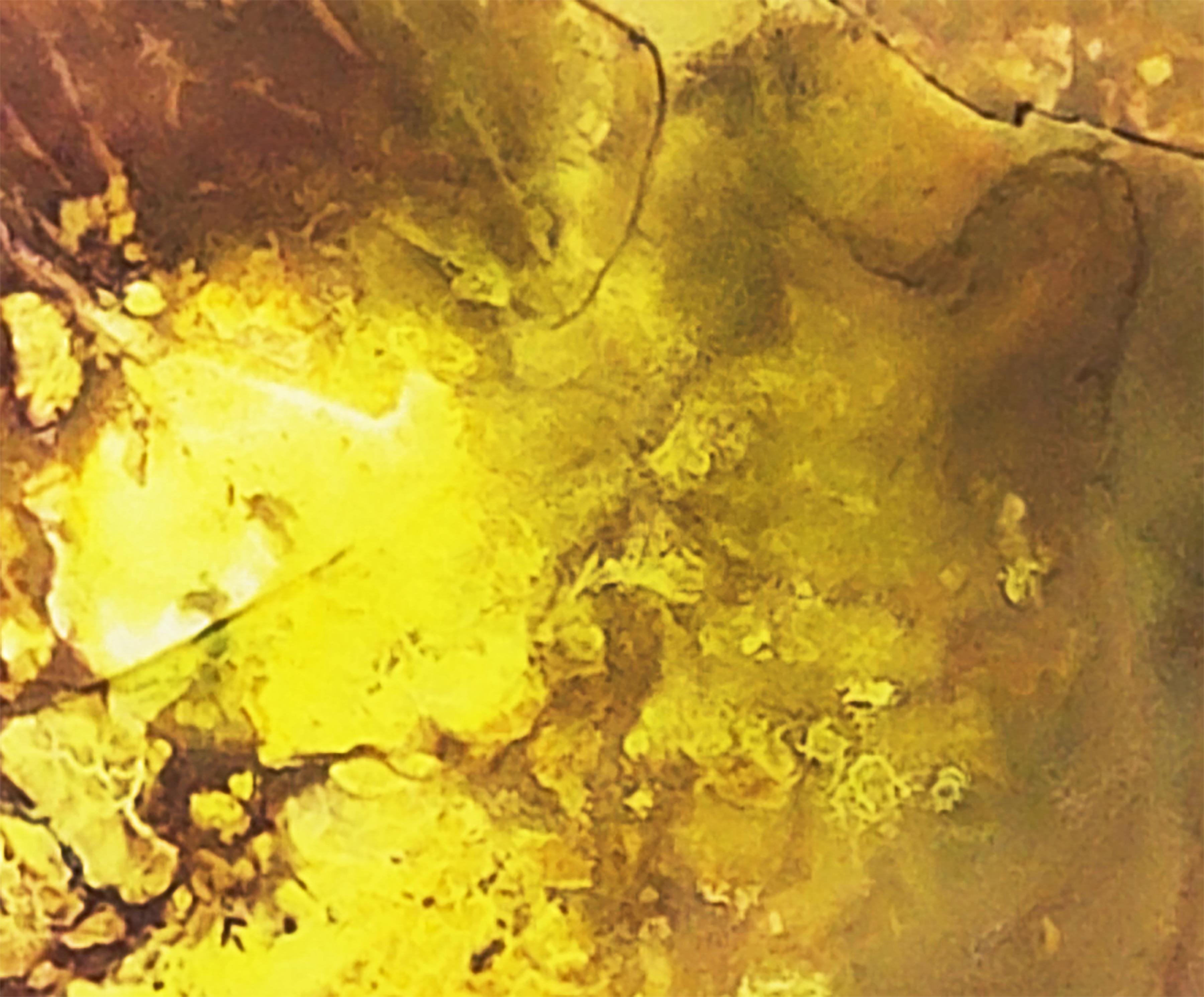 Mysterious Yellow  Stains II For Sale 3