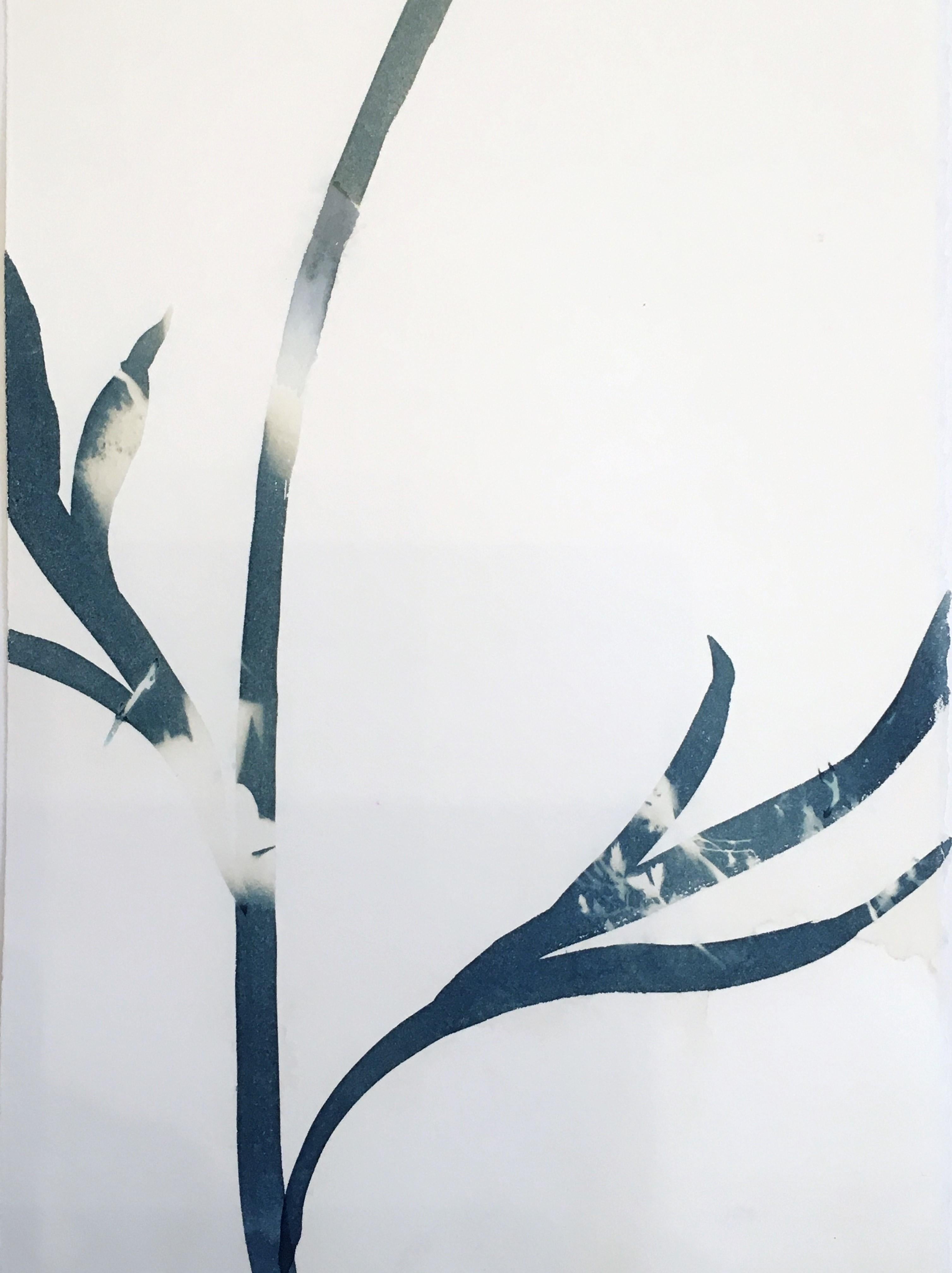 flower cyanotype