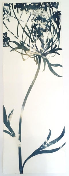 Inflorescence, Botanical,  Floral, Cyanotype, Blue, Work on Paper, Flowers