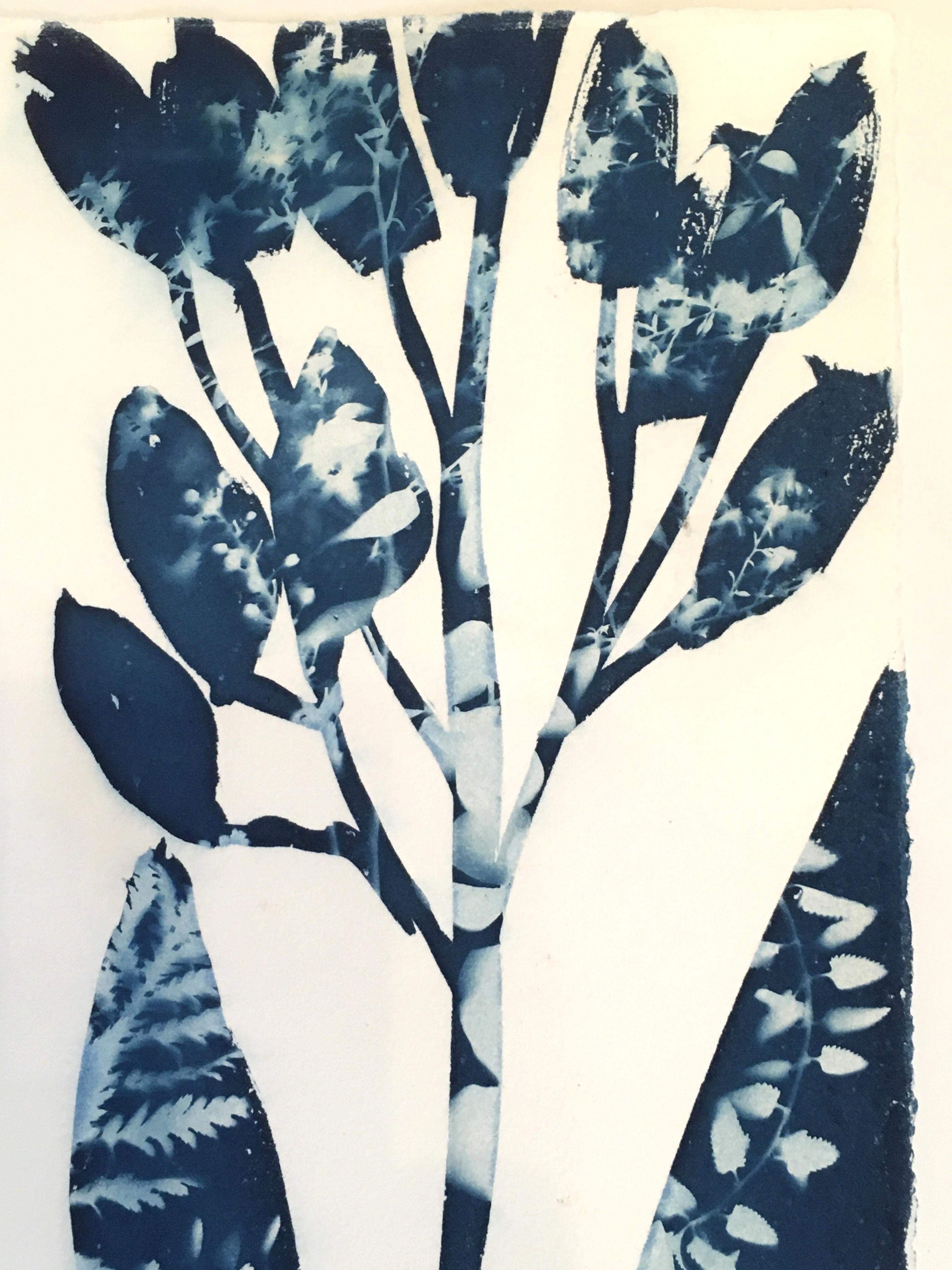 Yucca, Botanisch,  Blumen Floral, Cyanotyp, Blau, Arbeiten auf Papier, Blumen – Photograph von Cynthia MacCollum