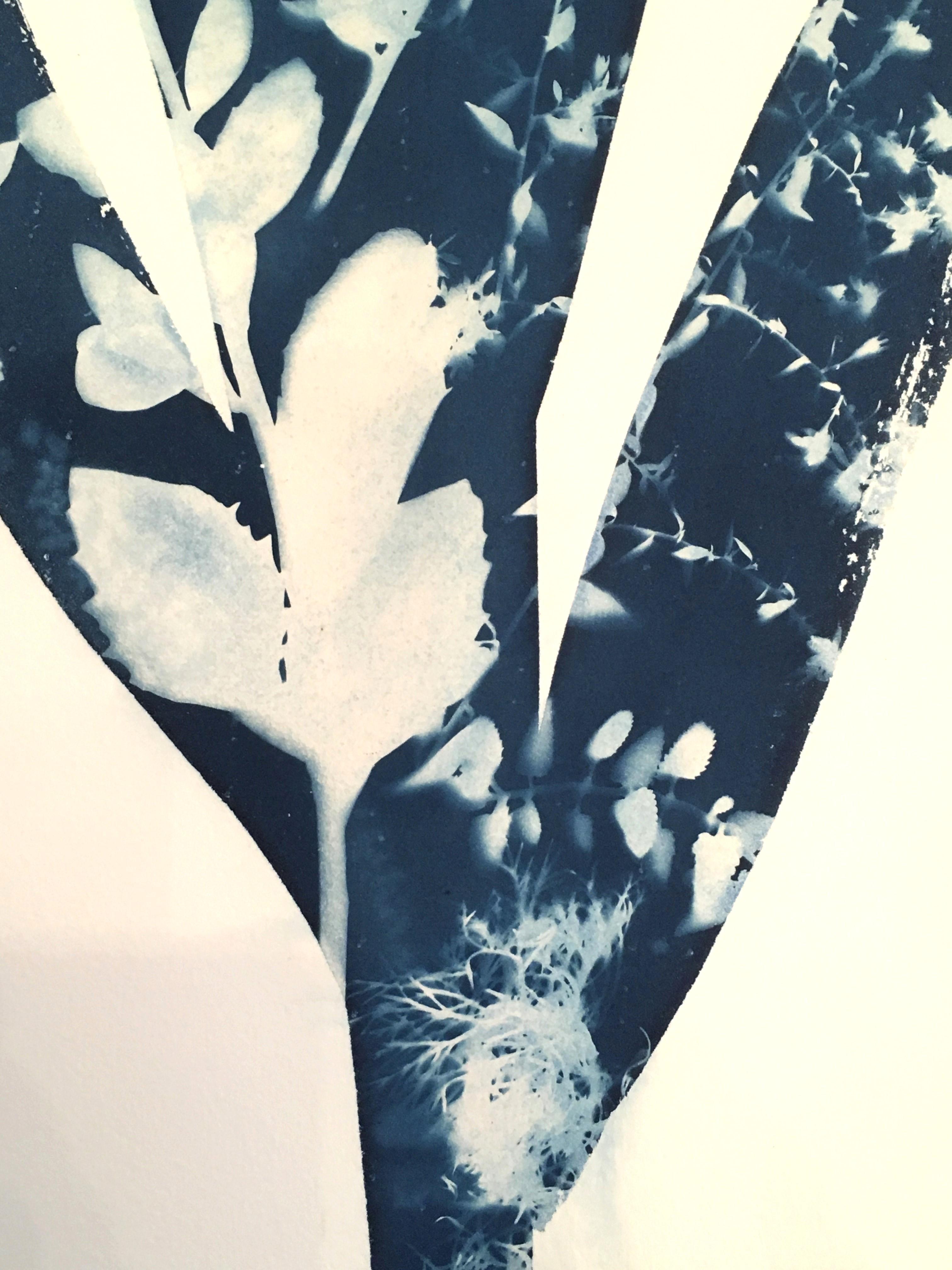 Yucca, Botanique,  Œuvres sur papier, fleurs, cyanotype bleu - Contemporain Photograph par Cynthia MacCollum