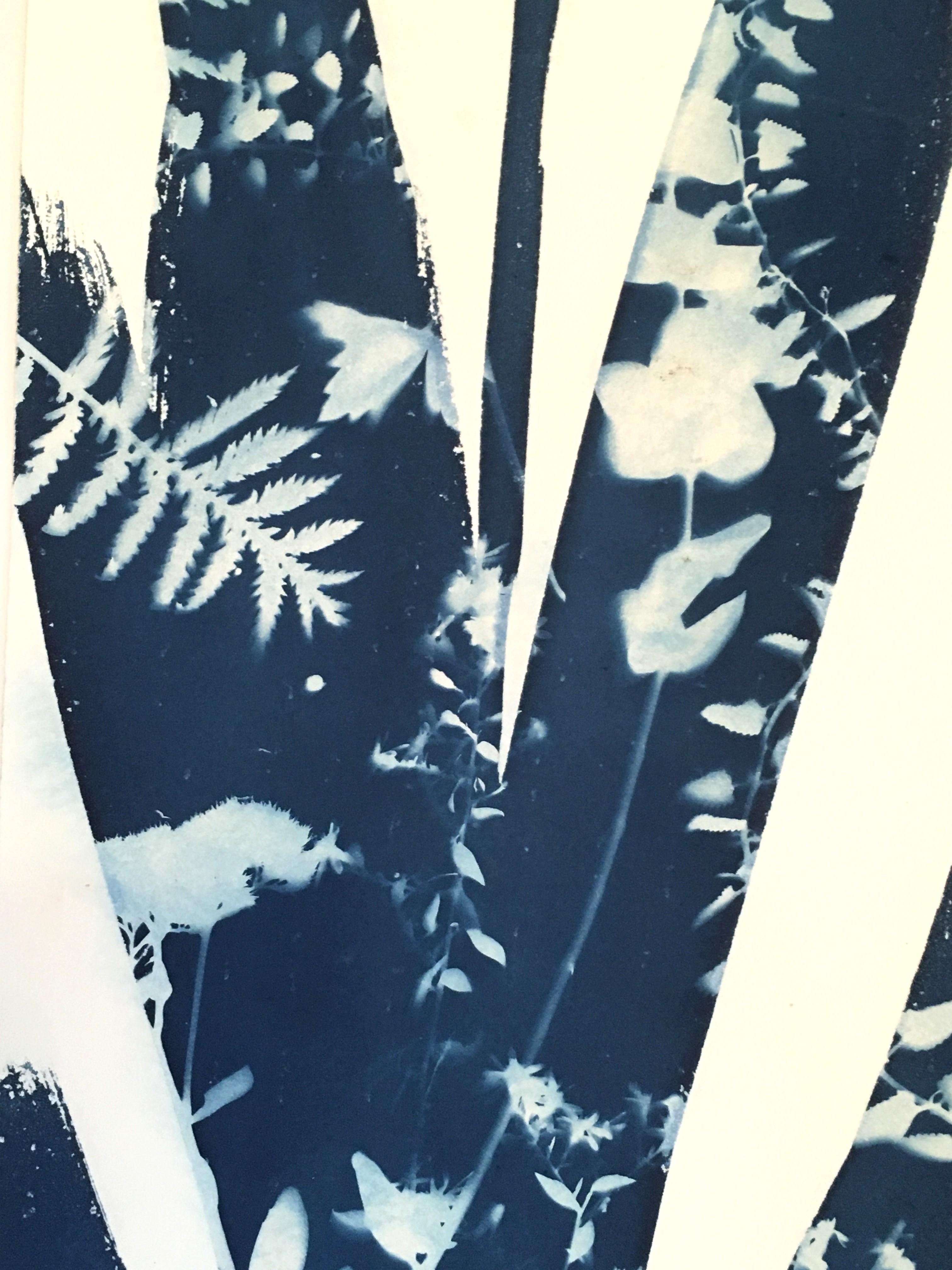 Yucca, Botanisch,  Blumen Floral, Cyanotyp, Blau, Arbeiten auf Papier, Blumen (Grau), Landscape Photograph, von Cynthia MacCollum