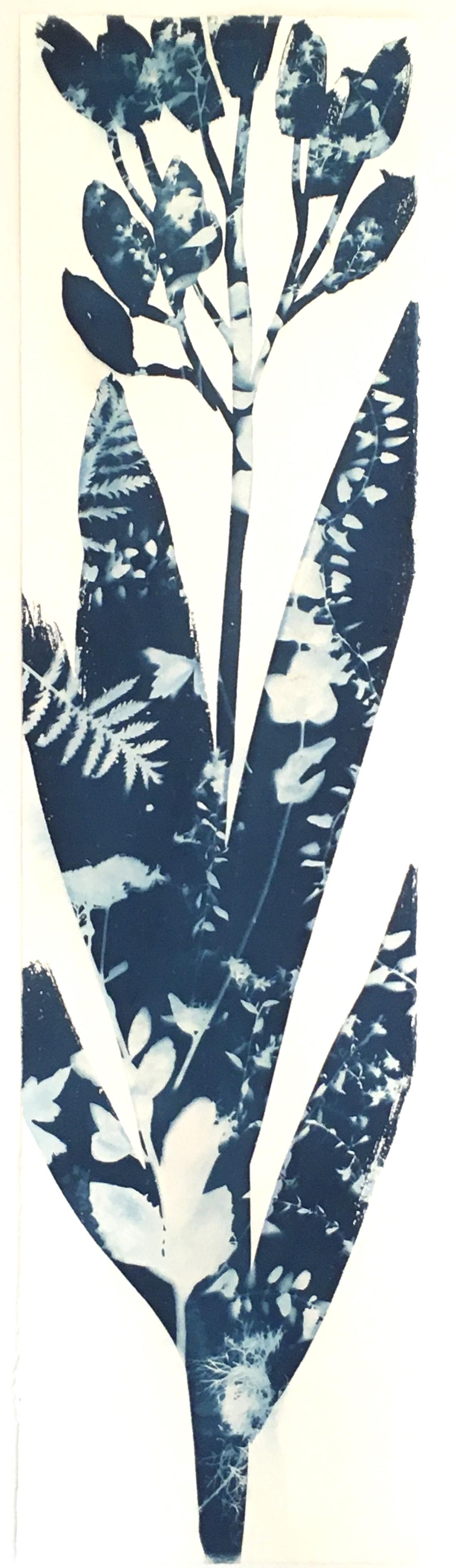 Yucca, Botanisch,  Blumen Floral, Cyanotyp, Blau, Arbeiten auf Papier, Blumen